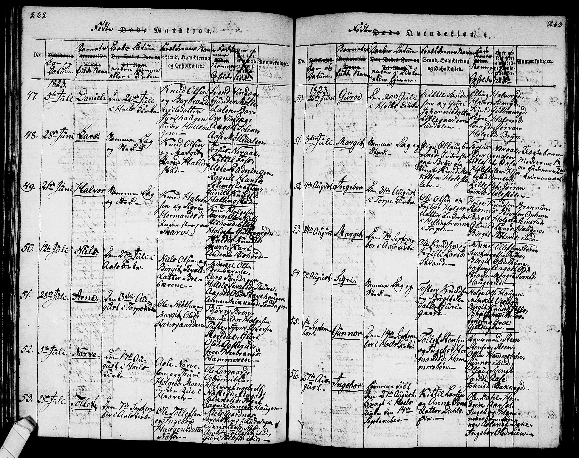 Ål kirkebøker, AV/SAKO-A-249/G/Ga/L0001: Parish register (copy) no. 1, 1815-1829, p. 262-263