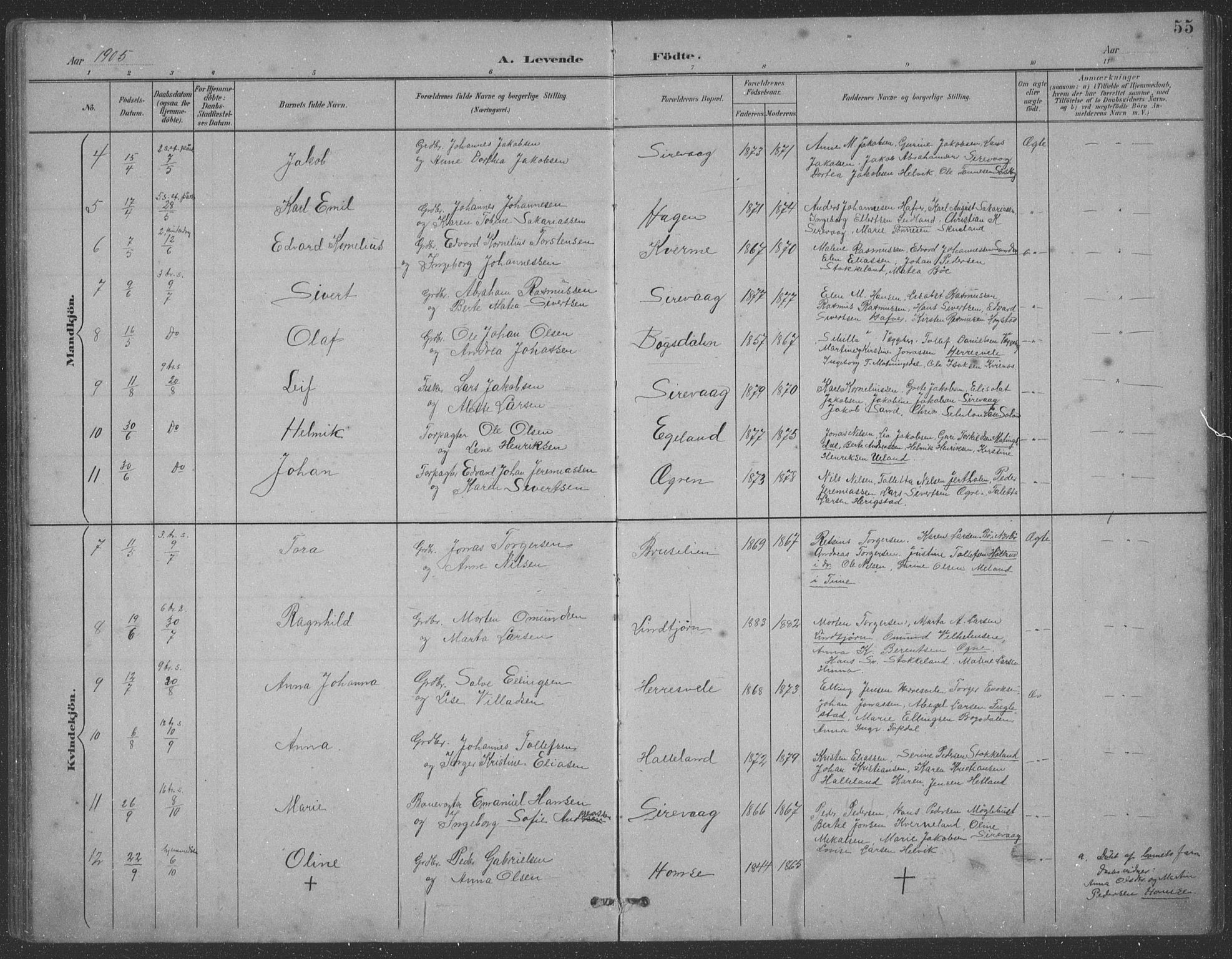 Eigersund sokneprestkontor, AV/SAST-A-101807/S09: Parish register (copy) no. B 21, 1890-1915, p. 55