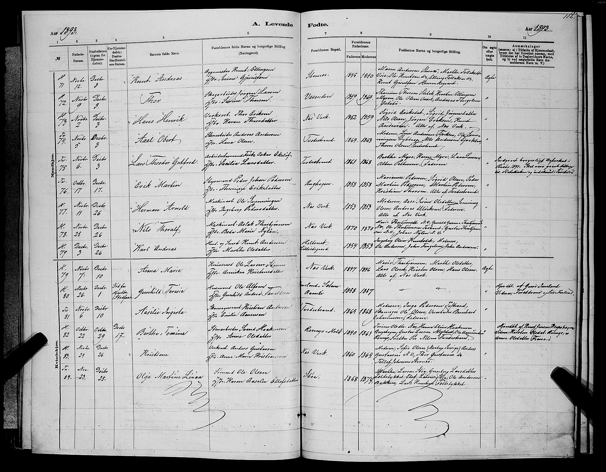 Holt sokneprestkontor, SAK/1111-0021/F/Fb/L0010: Parish register (copy) no. B 10, 1883-1896, p. 112