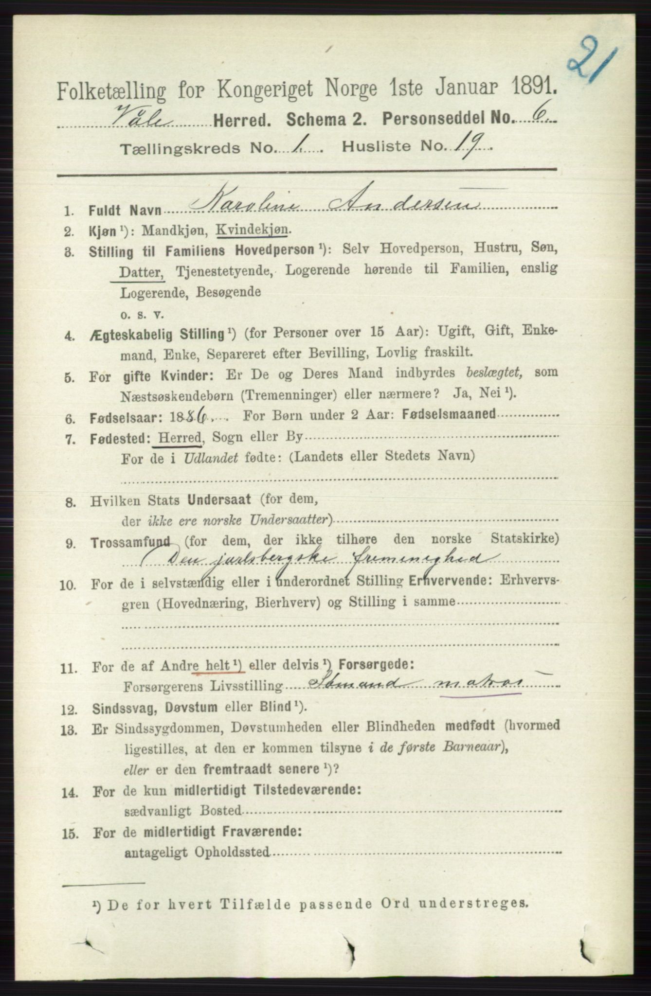 RA, 1891 census for 0716 Våle, 1891, p. 208