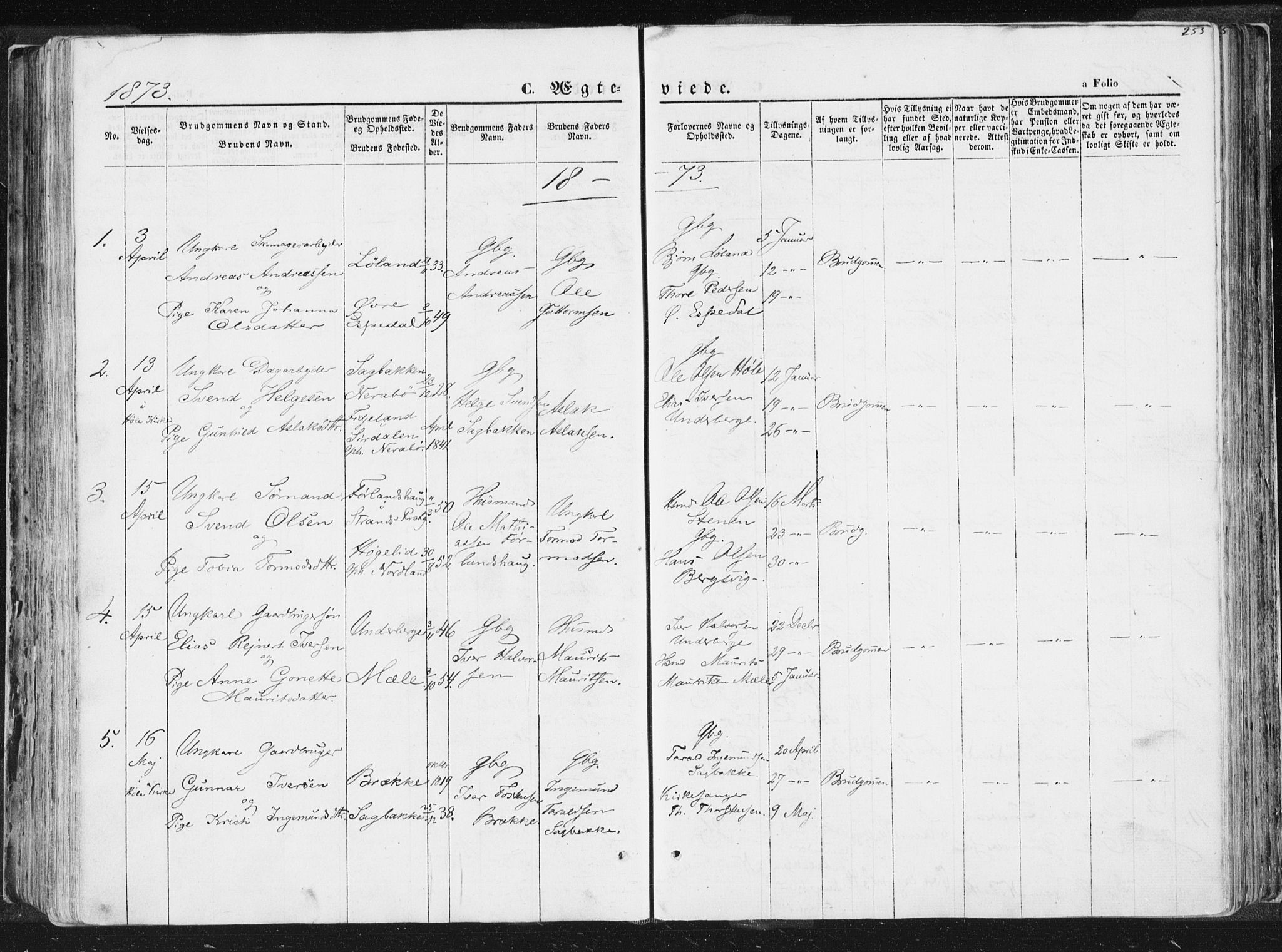 Høgsfjord sokneprestkontor, AV/SAST-A-101624/H/Ha/Haa/L0001: Parish register (official) no. A 1, 1854-1875, p. 253