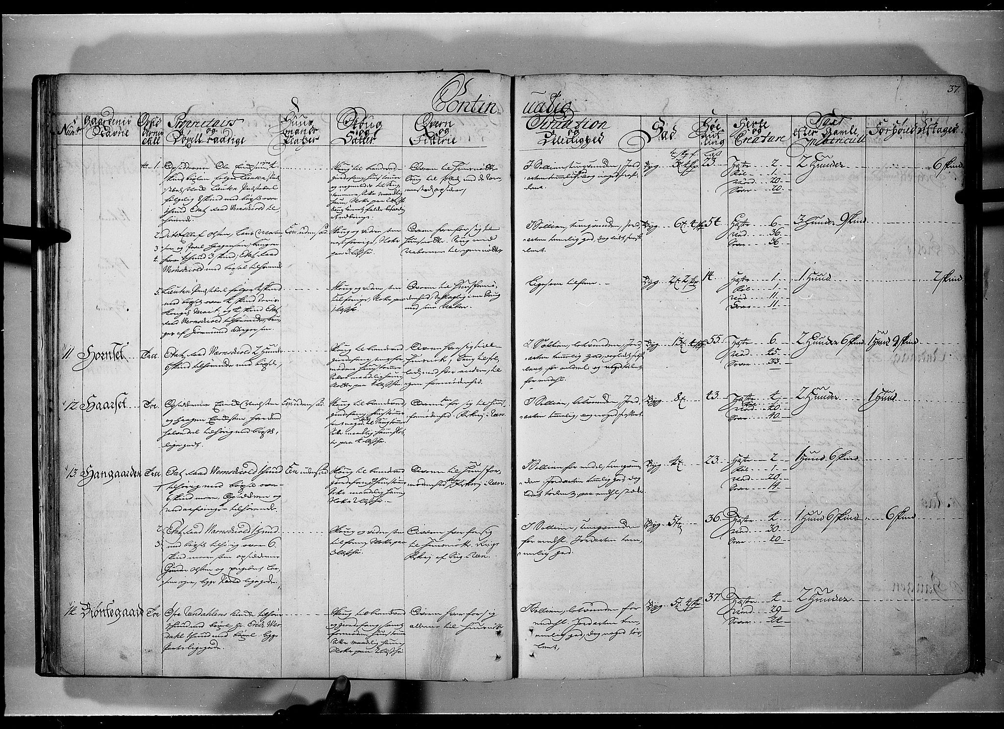 Rentekammeret inntil 1814, Realistisk ordnet avdeling, AV/RA-EA-4070/N/Nb/Nbf/L0101: Solør, Østerdalen og Odal eksaminasjonsprotokoll, 1723, p. 36b-37a