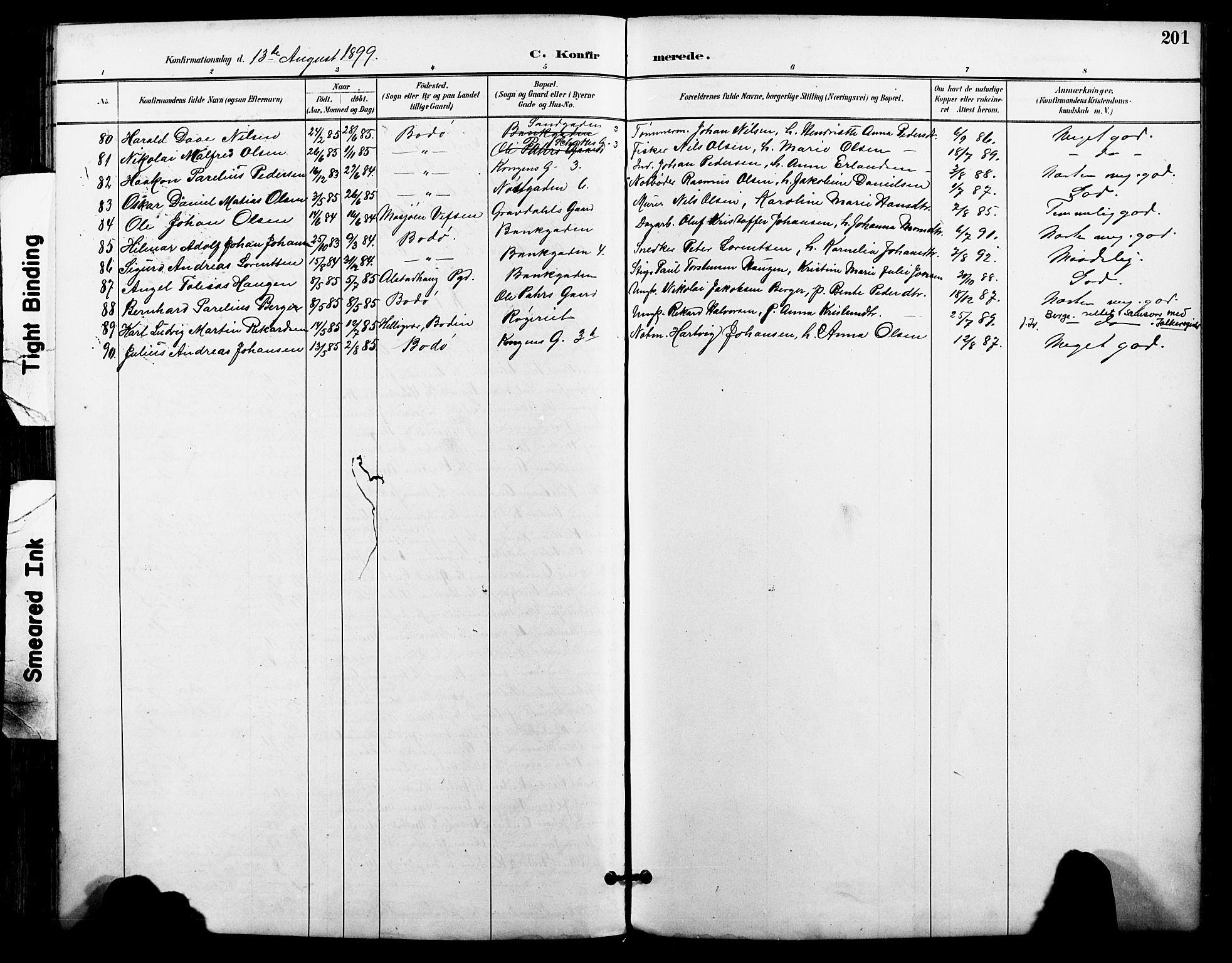 Ministerialprotokoller, klokkerbøker og fødselsregistre - Nordland, AV/SAT-A-1459/801/L0010: Parish register (official) no. 801A10, 1888-1899, p. 201