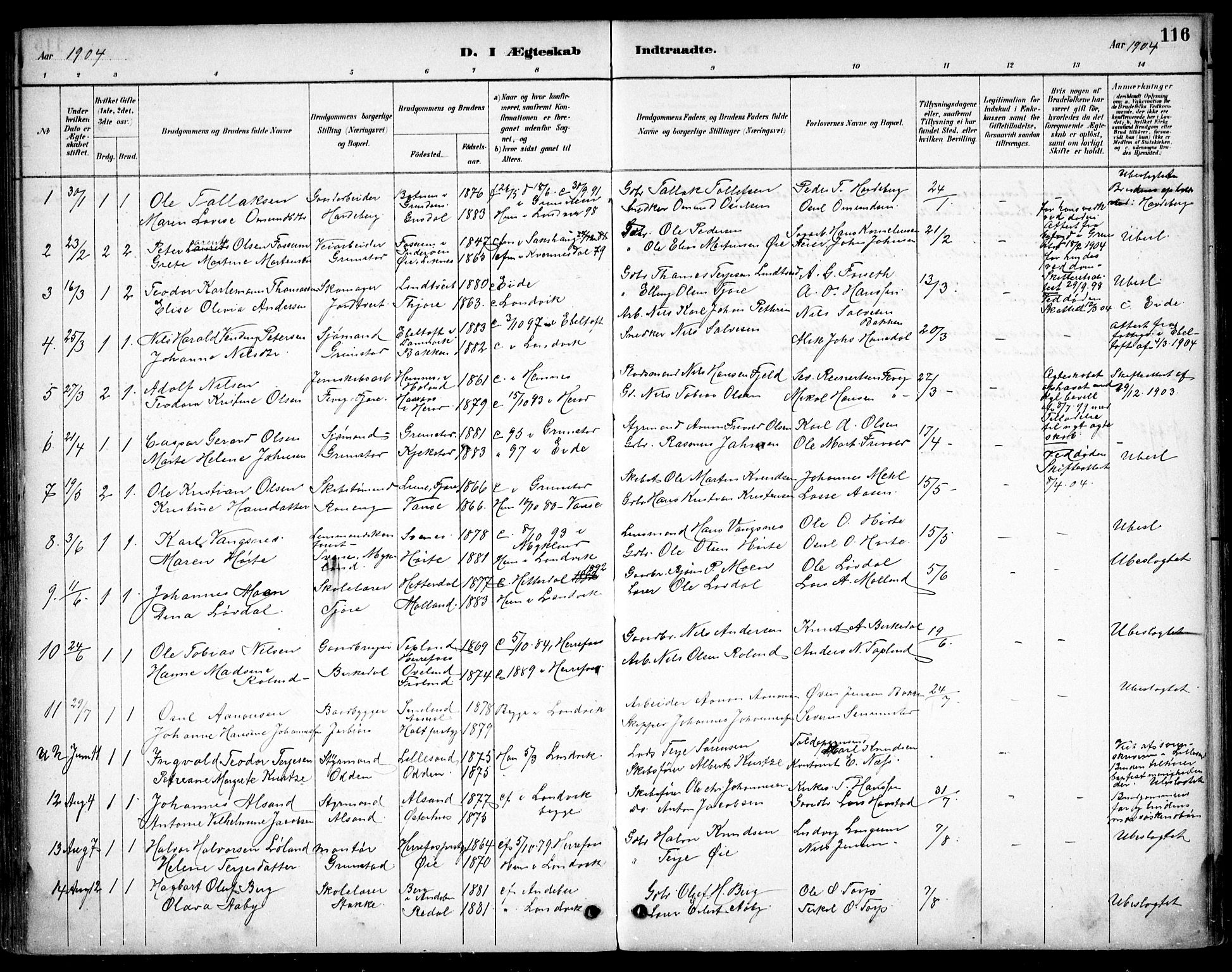 Hommedal sokneprestkontor, AV/SAK-1111-0023/F/Fb/Fbb/L0007: Parish register (copy) no. B 7, 1885-1904, p. 116