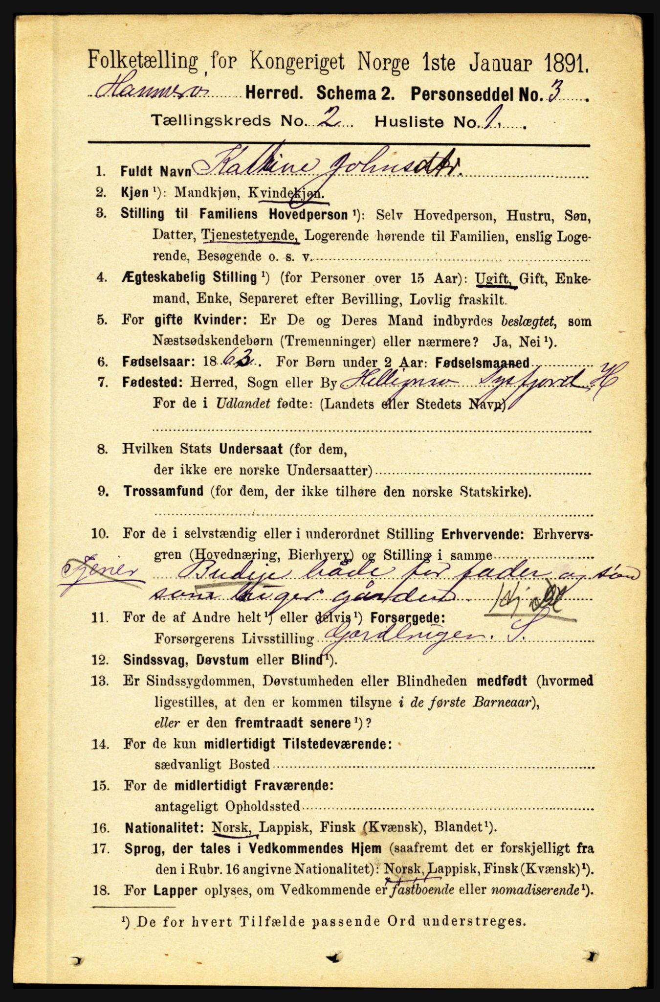 RA, 1891 census for 1849 Hamarøy, 1891, p. 582