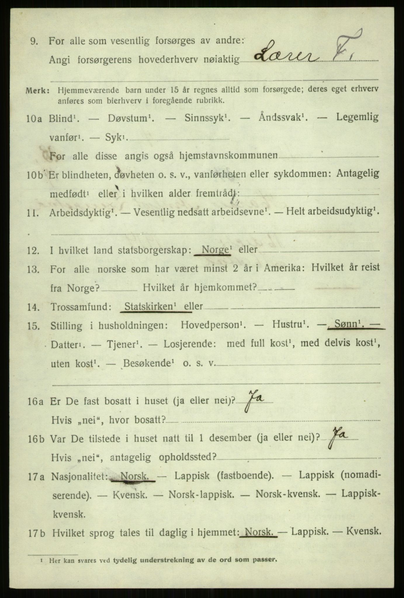 SATØ, 1920 census for Ibestad, 1920, p. 12376