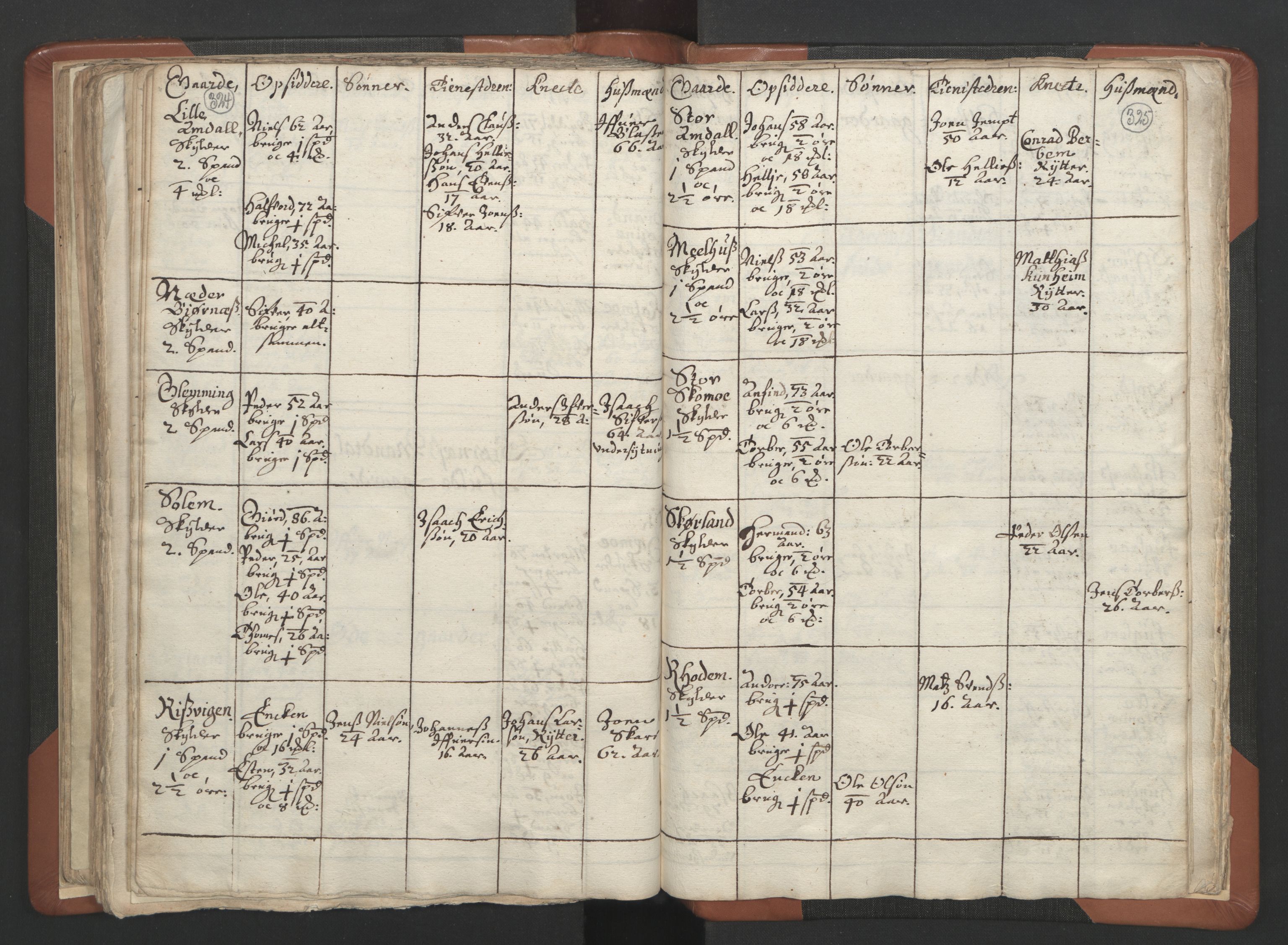 RA, Vicar's Census 1664-1666, no. 34: Namdal deanery, 1664-1666, p. 324-325