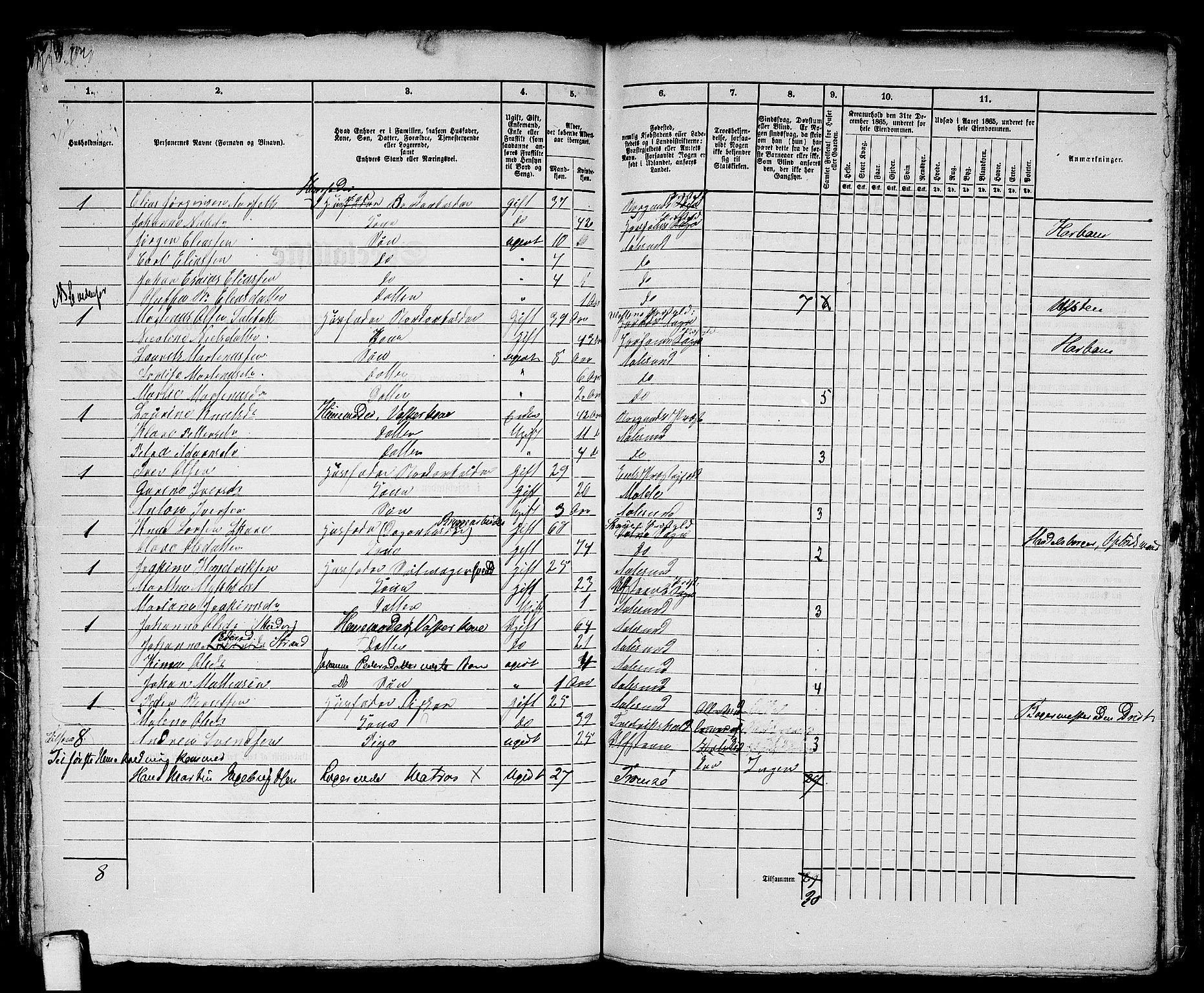 RA, 1865 census for Ålesund, 1865, p. 294