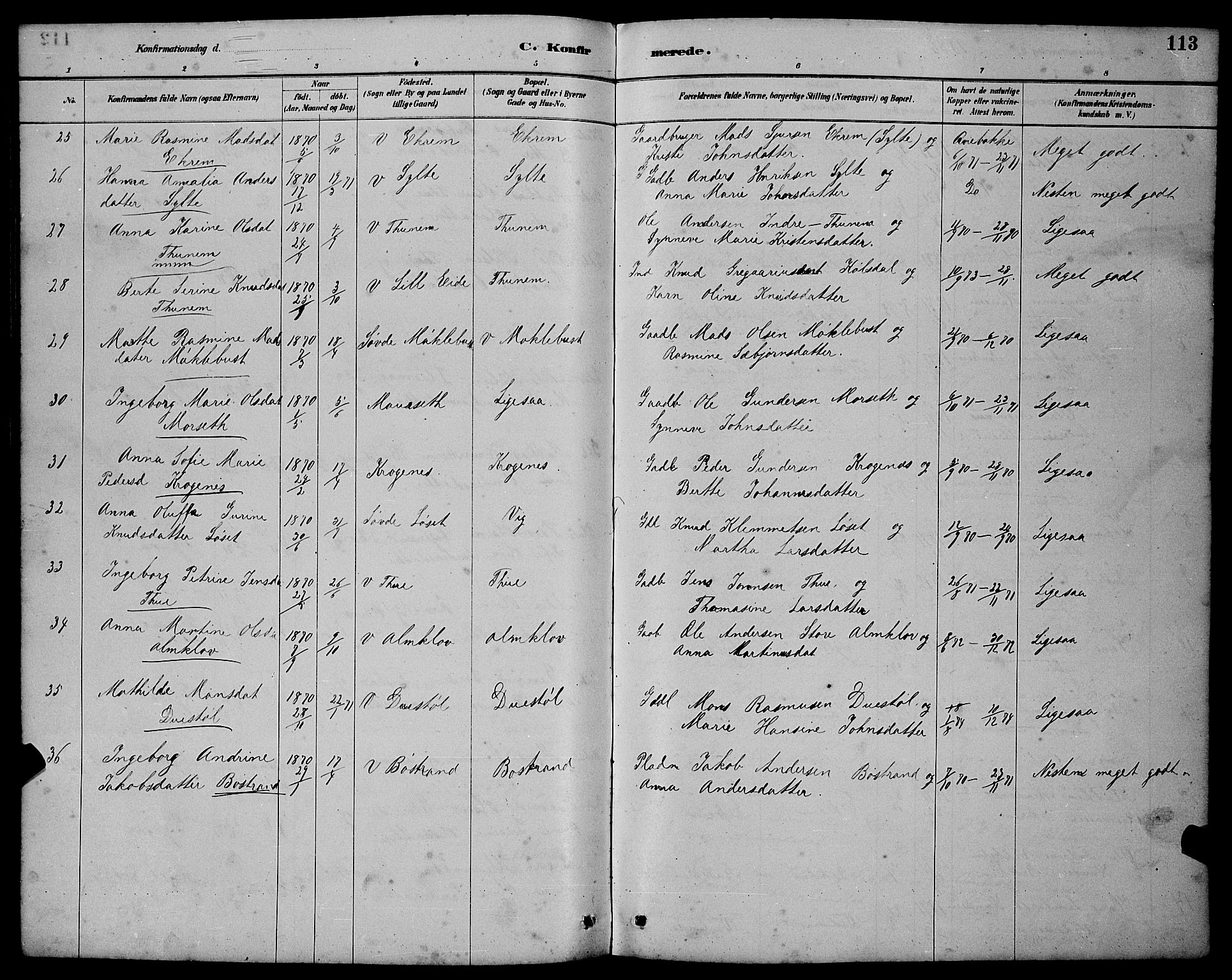 Ministerialprotokoller, klokkerbøker og fødselsregistre - Møre og Romsdal, AV/SAT-A-1454/501/L0017: Parish register (copy) no. 501C03, 1885-1901, p. 113