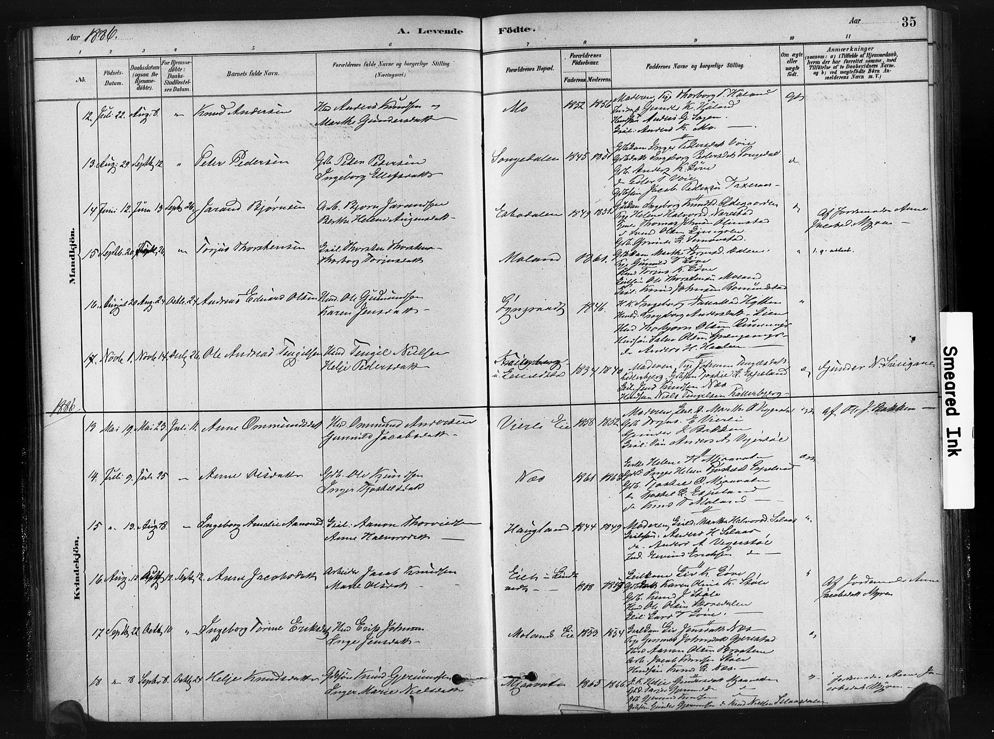 Gjerstad sokneprestkontor, AV/SAK-1111-0014/F/Fa/Fab/L0004: Parish register (official) no. A 4, 1879-1890, p. 35