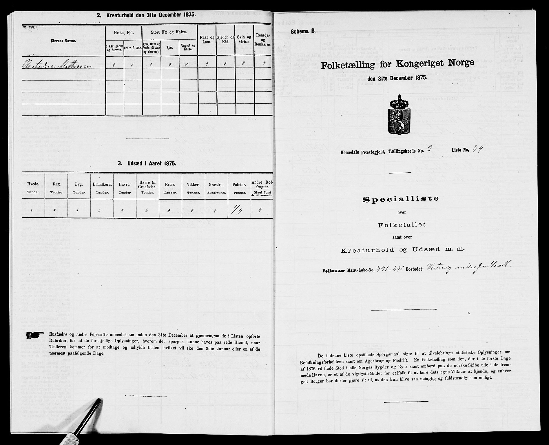 SAK, 1875 census for 0924P Homedal, 1875, p. 218
