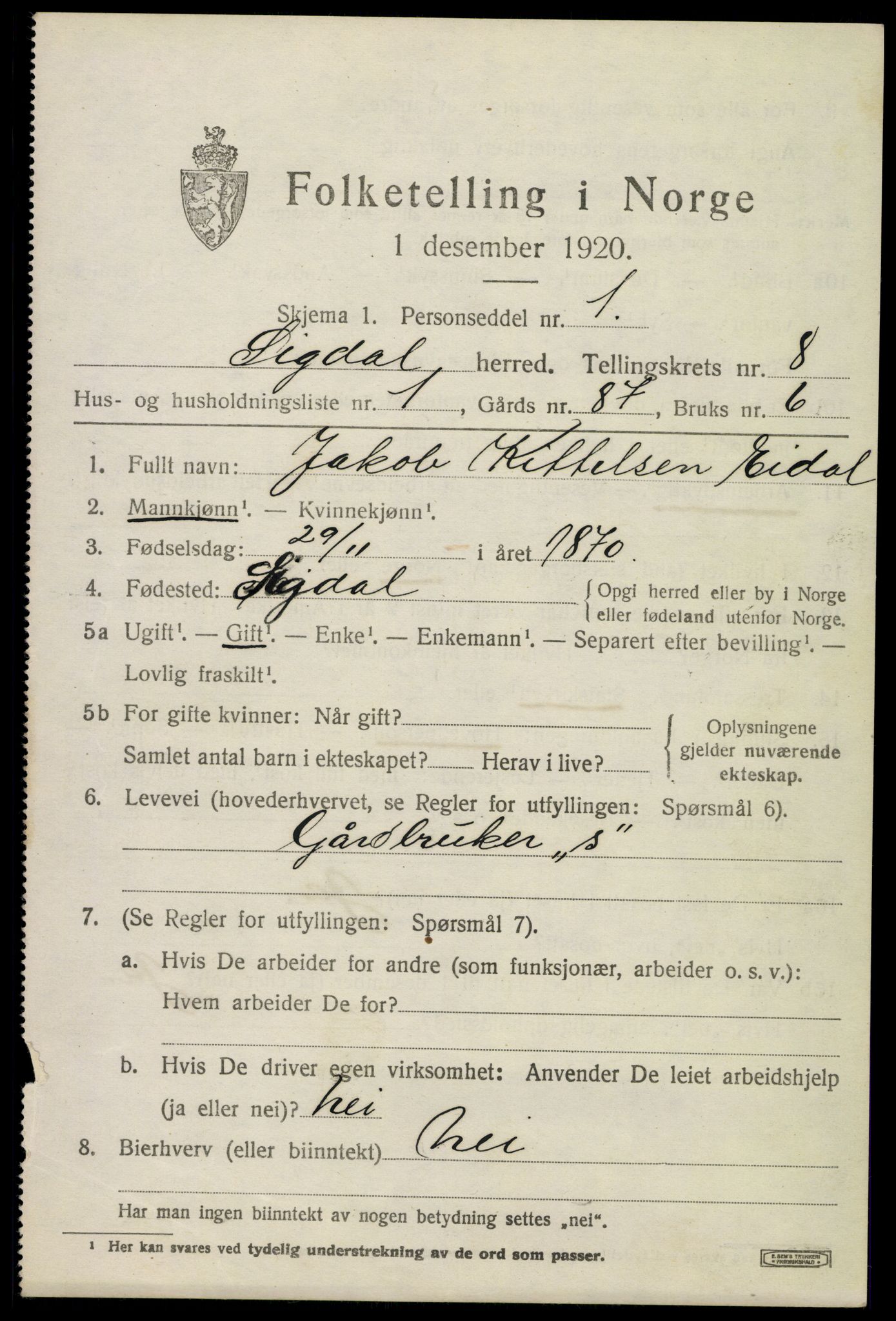 SAKO, 1920 census for Sigdal, 1920, p. 5996