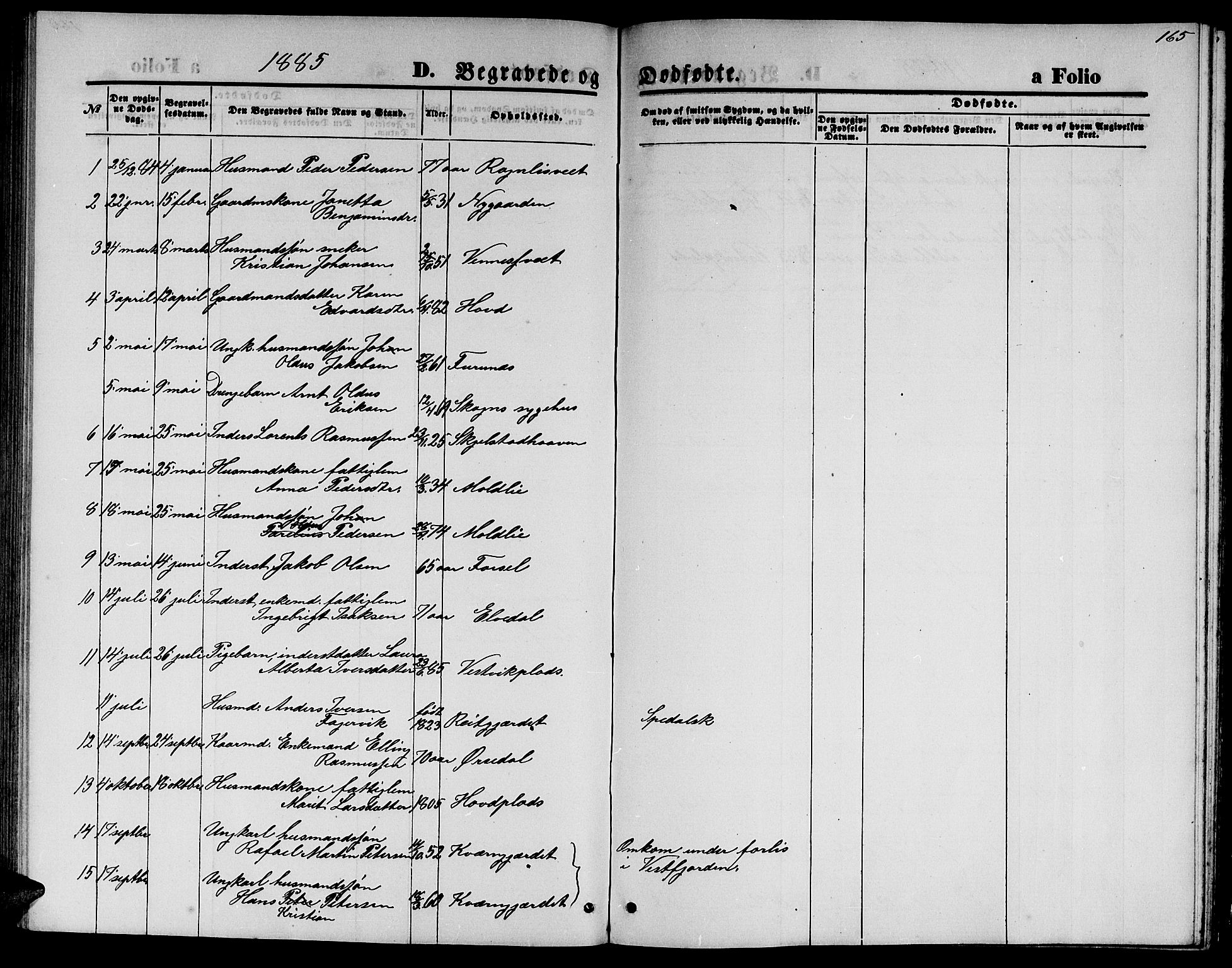 Ministerialprotokoller, klokkerbøker og fødselsregistre - Nord-Trøndelag, AV/SAT-A-1458/744/L0422: Parish register (copy) no. 744C01, 1871-1885, p. 165