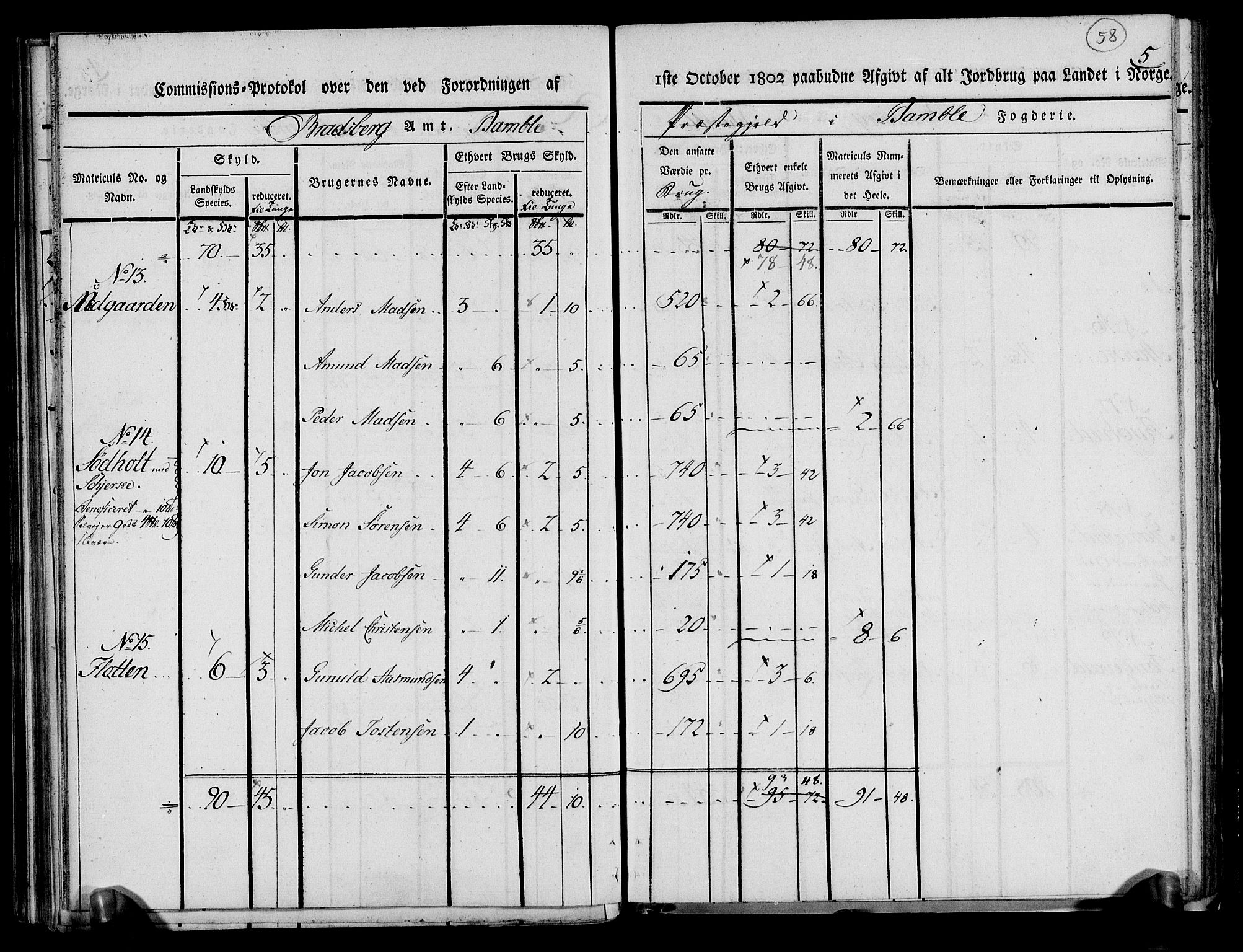 Rentekammeret inntil 1814, Realistisk ordnet avdeling, AV/RA-EA-4070/N/Ne/Nea/L0068: og 0069: Nedre Telemarken og Bamble fogderi. Kommisjonsprotokoll for Drangedal, Sannidal, Bamble og Eidanger prestegjeld., 1803, p. 62