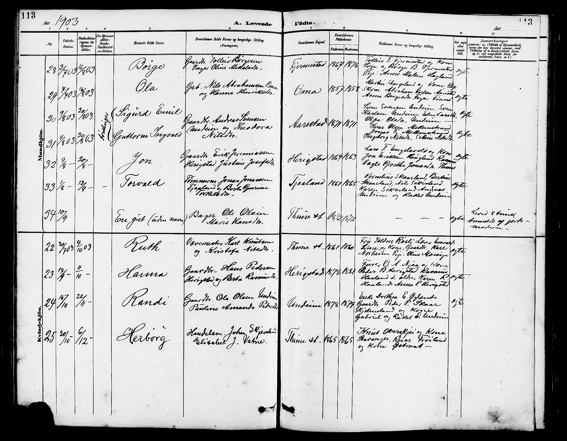 Lye sokneprestkontor, AV/SAST-A-101794/001/30BB/L0007: Parish register (copy) no. B 8, 1889-1909, p. 113