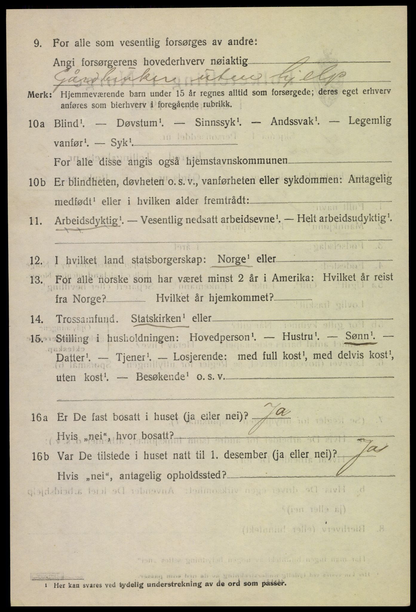 SAH, 1920 census for Lom, 1920, p. 5099