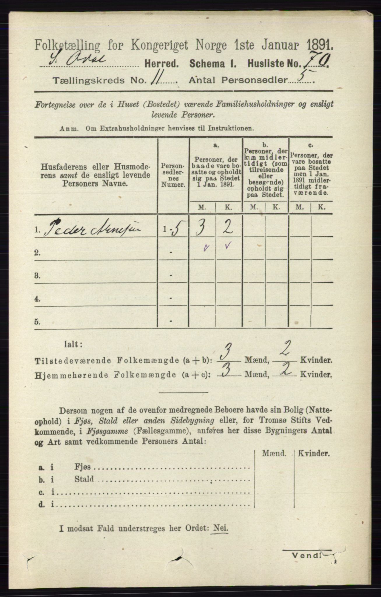 RA, 1891 census for 0419 Sør-Odal, 1891, p. 4896