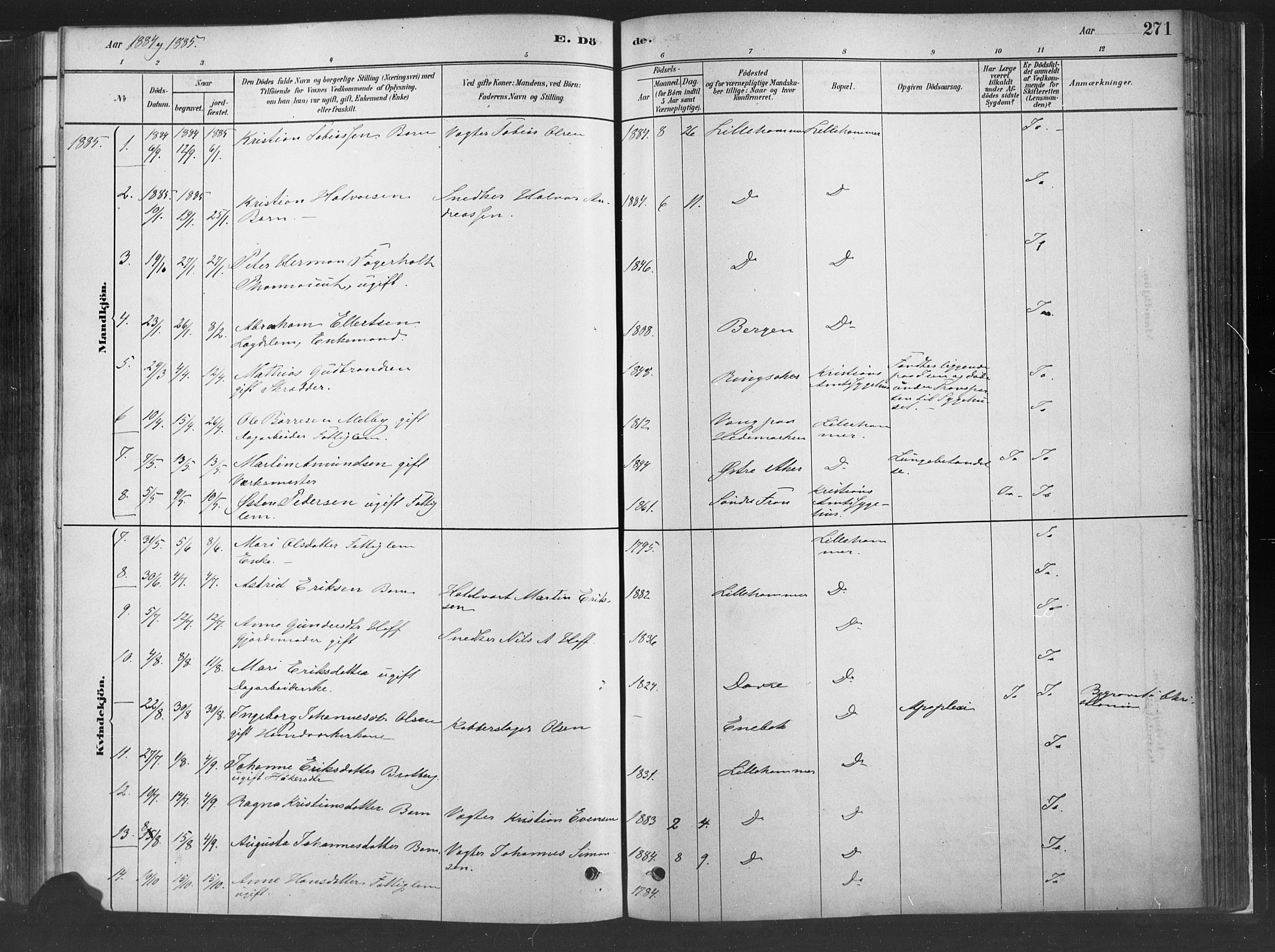 Fåberg prestekontor, SAH/PREST-086/H/Ha/Haa/L0010: Parish register (official) no. 10, 1879-1900, p. 271