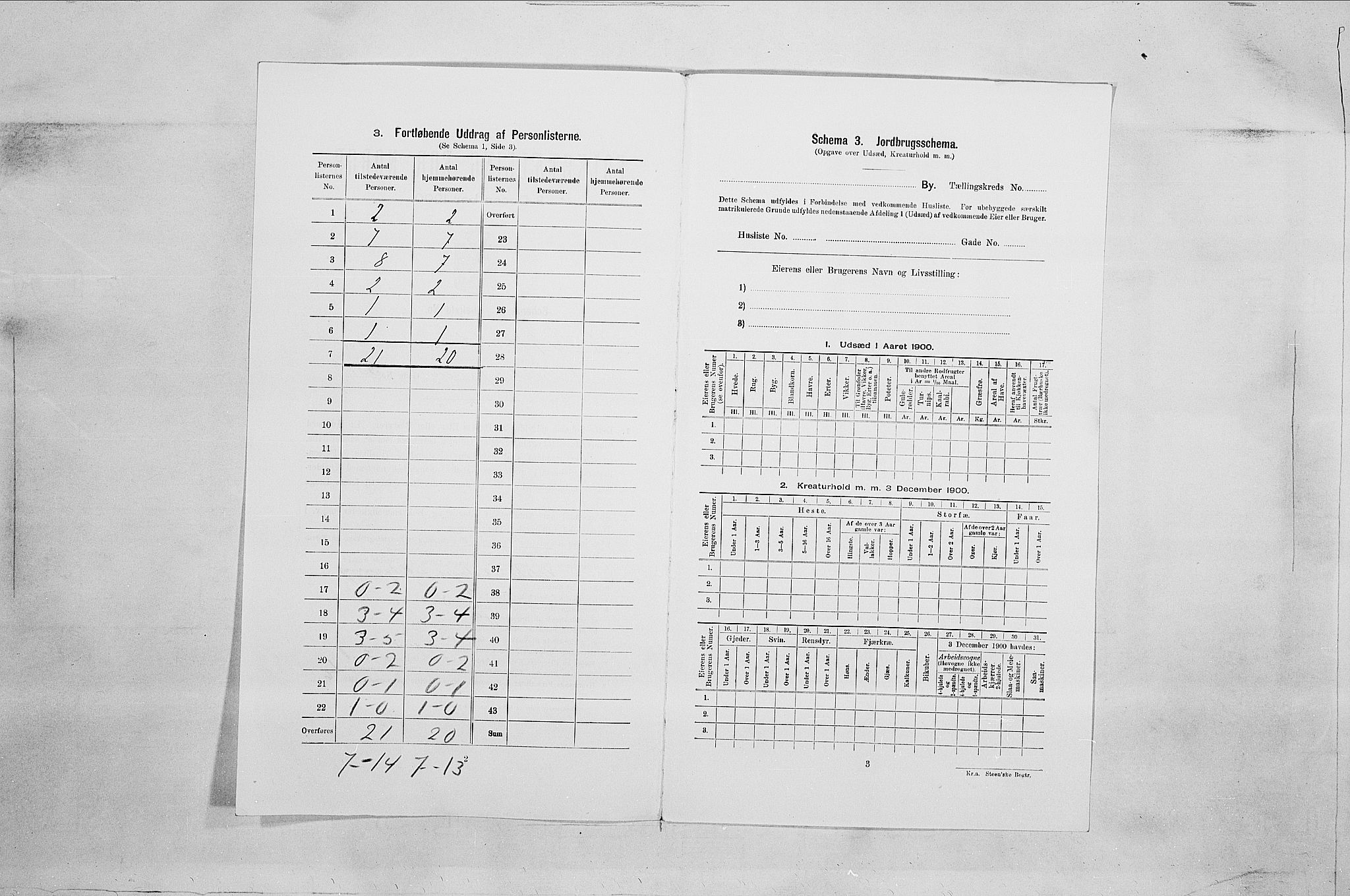 SAO, 1900 census for Fredrikshald, 1900