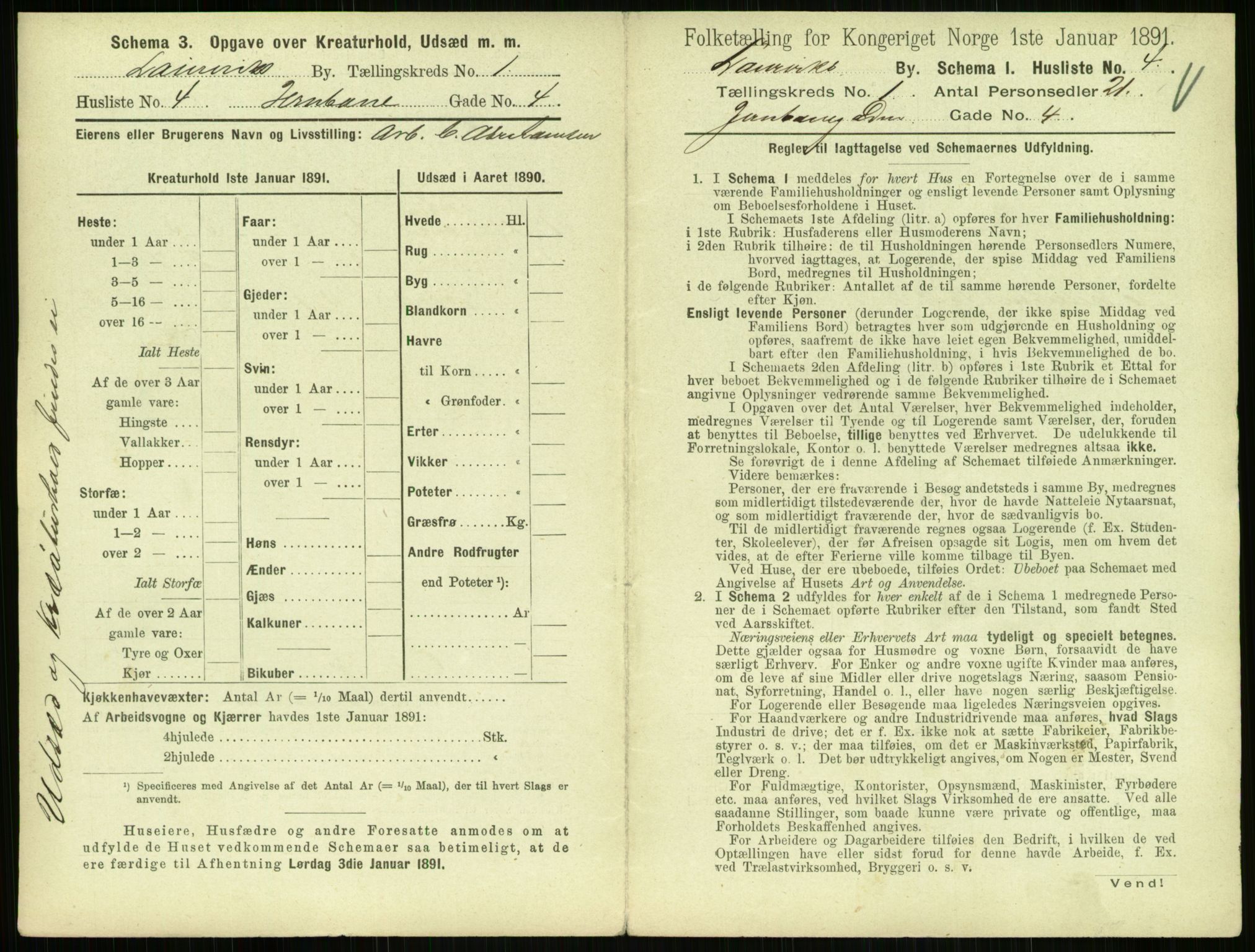 RA, 1891 census for 0707 Larvik, 1891, p. 51