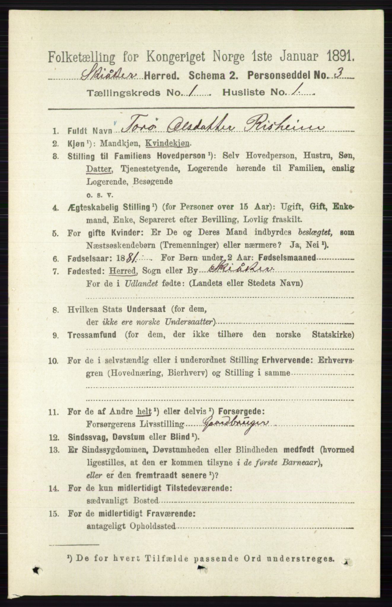 RA, 1891 census for 0513 Skjåk, 1891, p. 89