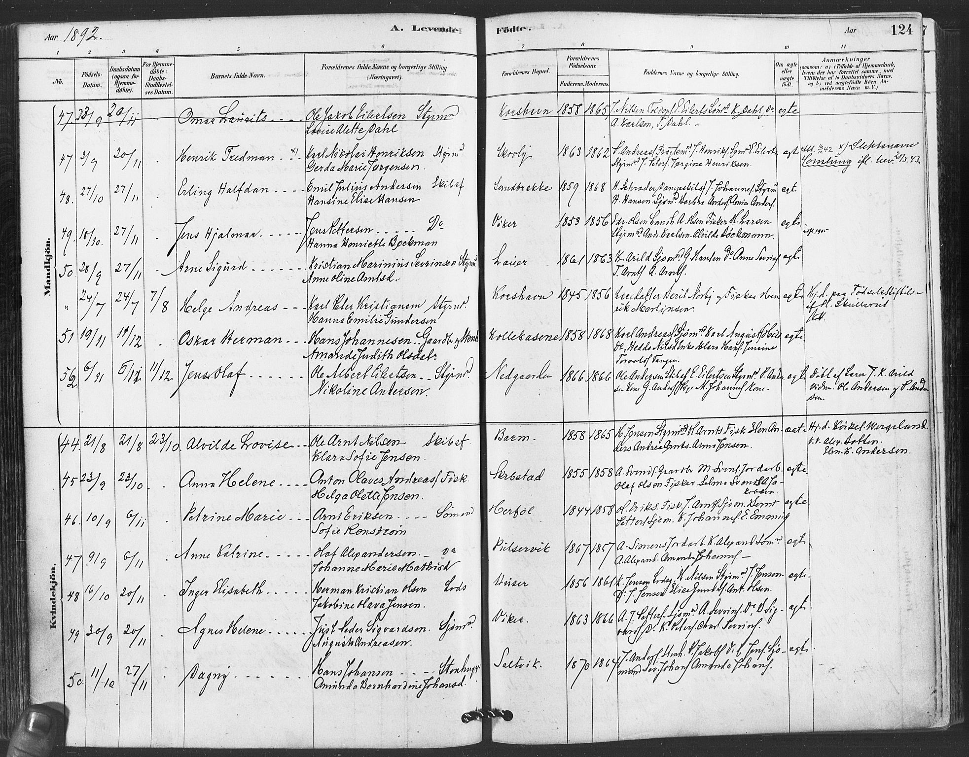 Hvaler prestekontor Kirkebøker, AV/SAO-A-2001/F/Fa/L0008: Parish register (official) no. I 8, 1878-1895, p. 124