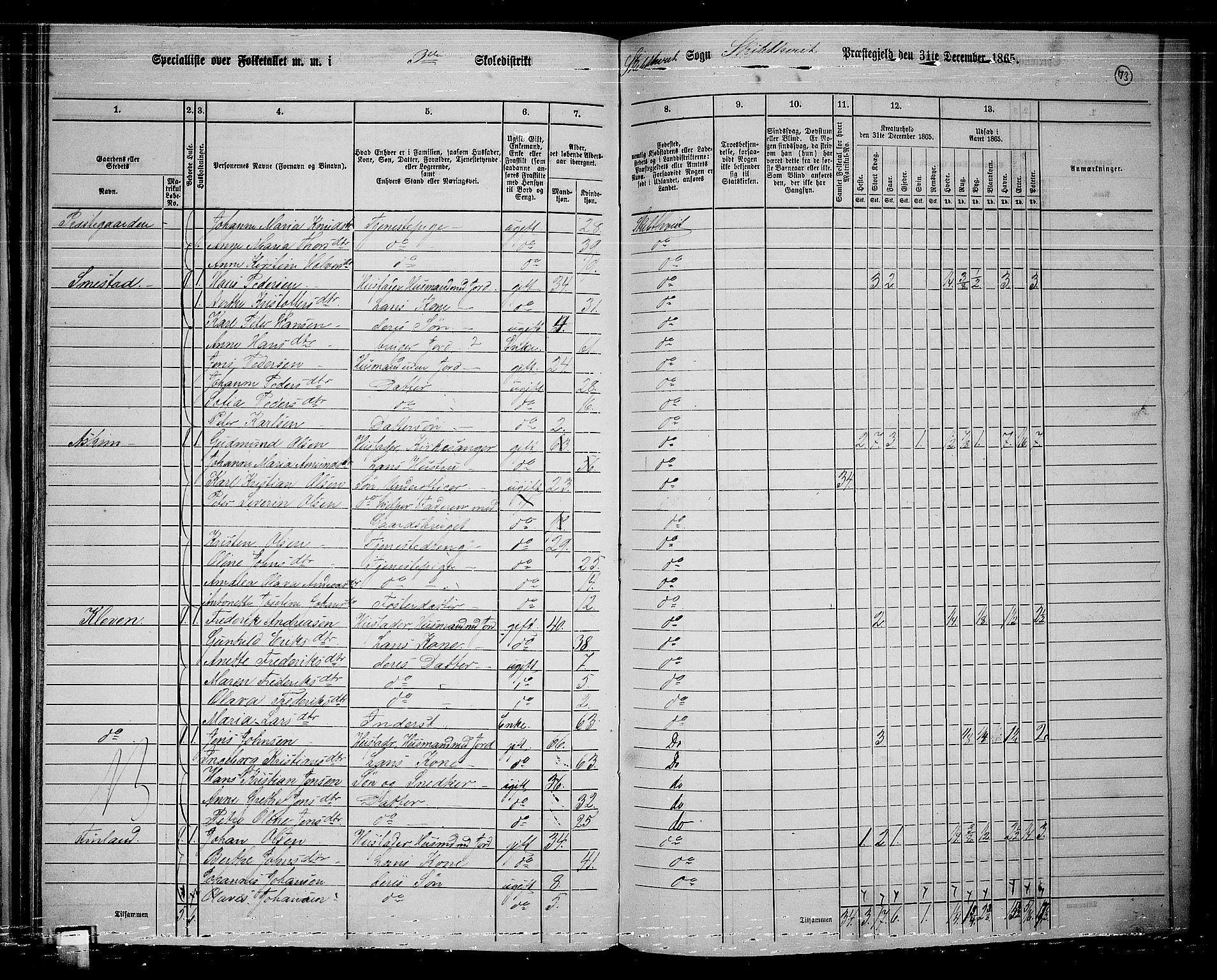 RA, 1865 census for Skiptvet, 1865, p. 64