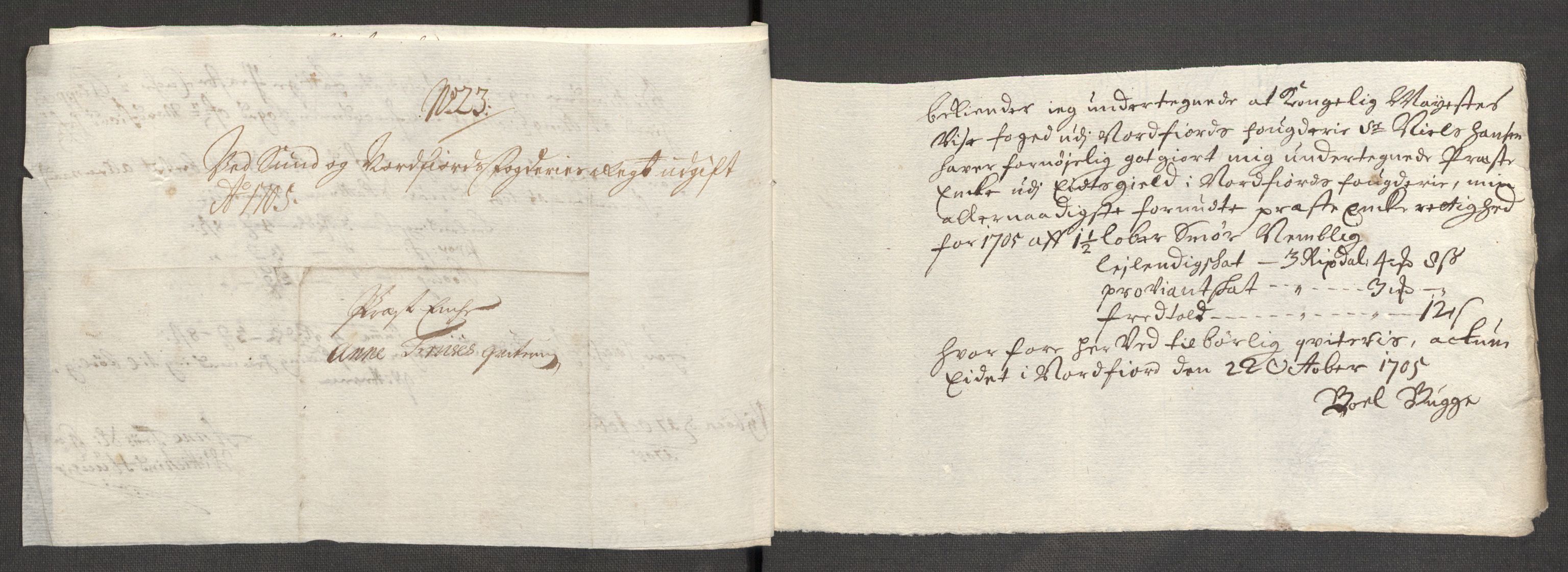 Rentekammeret inntil 1814, Reviderte regnskaper, Fogderegnskap, RA/EA-4092/R53/L3429: Fogderegnskap Sunn- og Nordfjord, 1705, p. 249