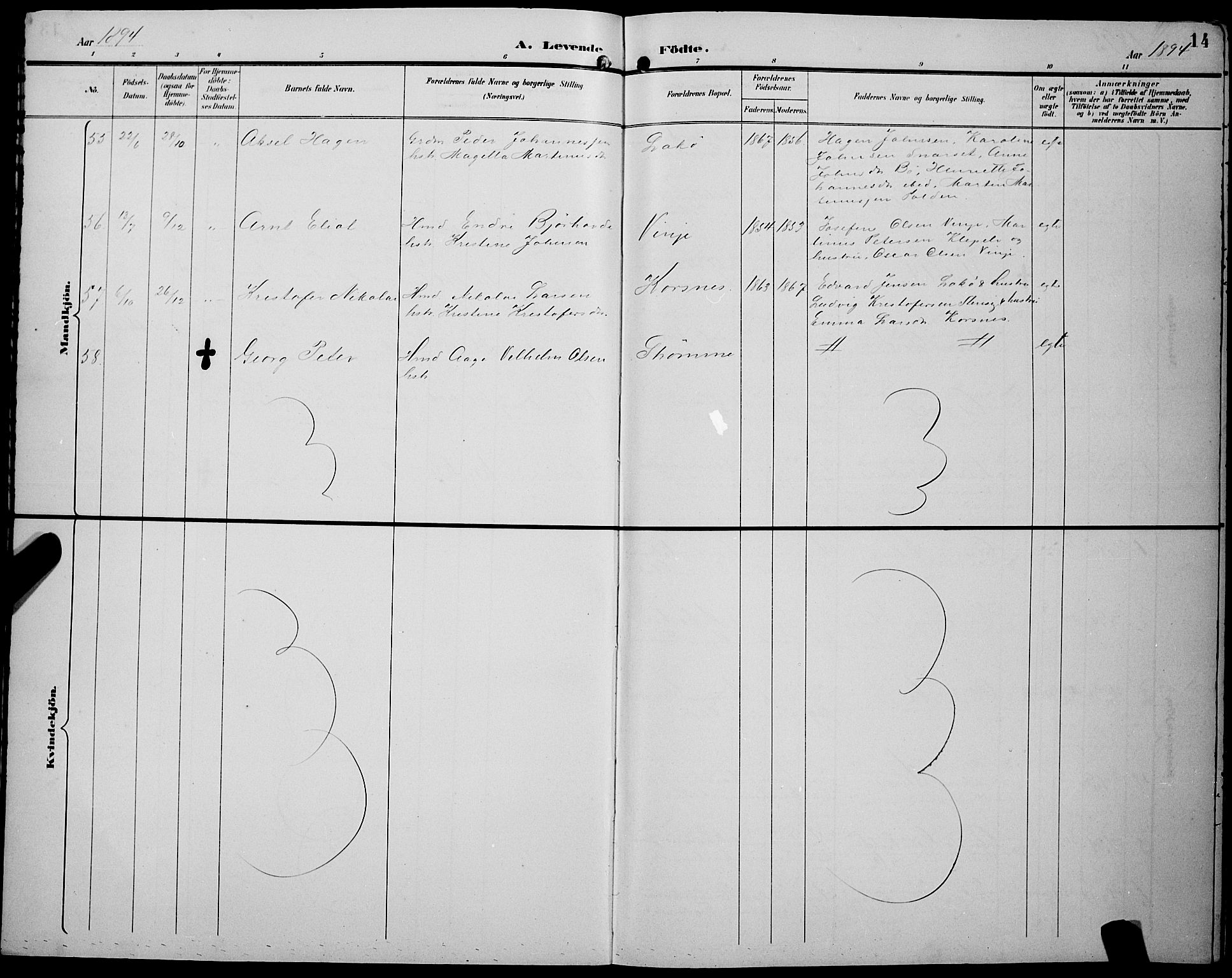 Ministerialprotokoller, klokkerbøker og fødselsregistre - Nordland, AV/SAT-A-1459/891/L1316: Parish register (copy) no. 891C05, 1894-1898, p. 14