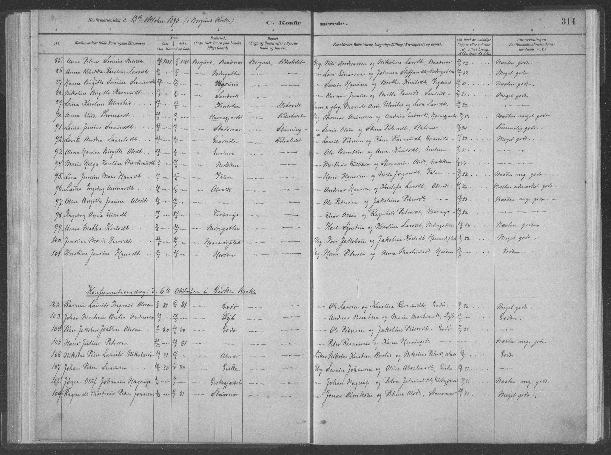 Ministerialprotokoller, klokkerbøker og fødselsregistre - Møre og Romsdal, AV/SAT-A-1454/528/L0402: Parish register (official) no. 528A12II, 1880-1903, p. 314