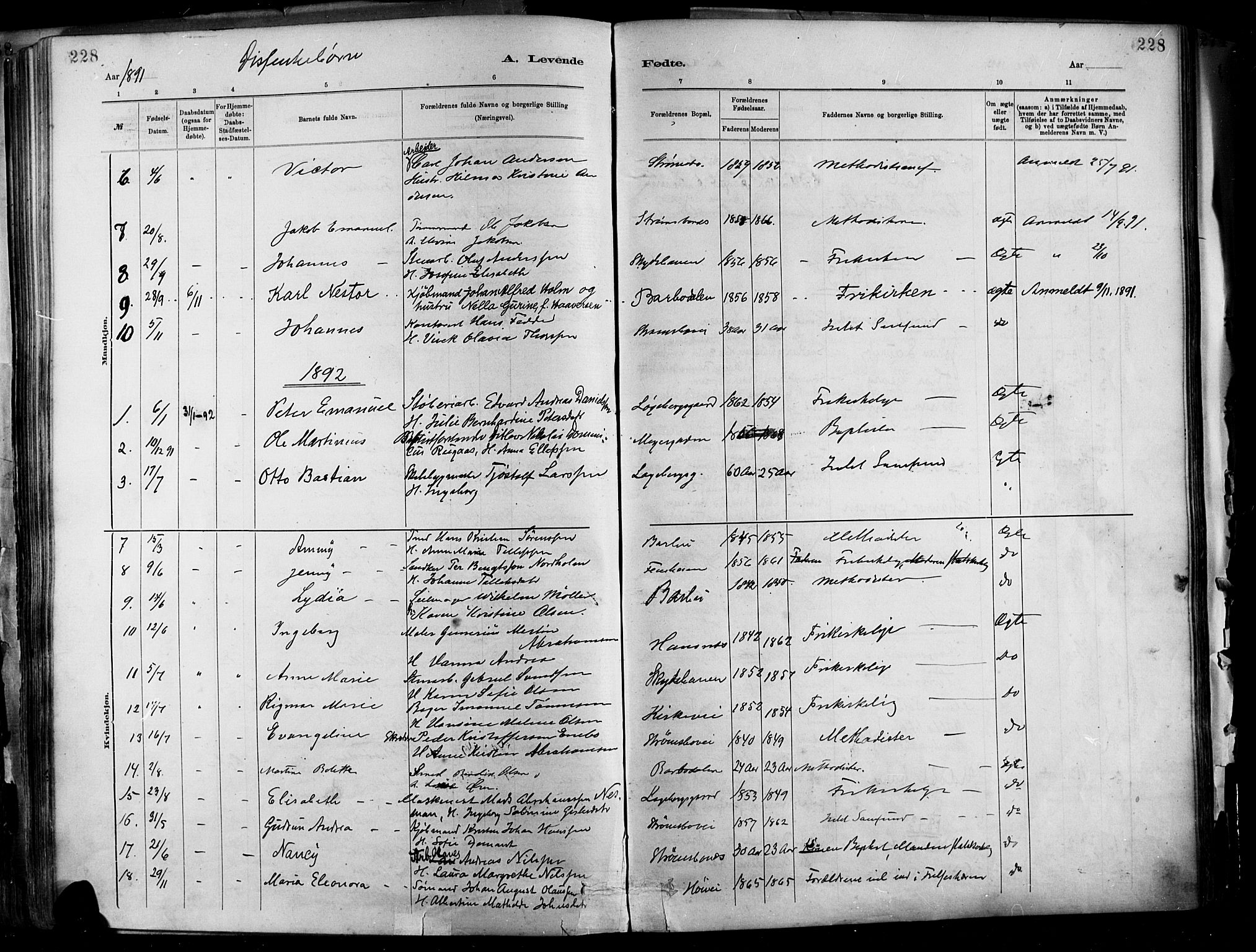 Barbu sokneprestkontor, SAK/1111-0003/F/Fa/L0002: Parish register (official) no. A 2, 1883-1898, p. 228