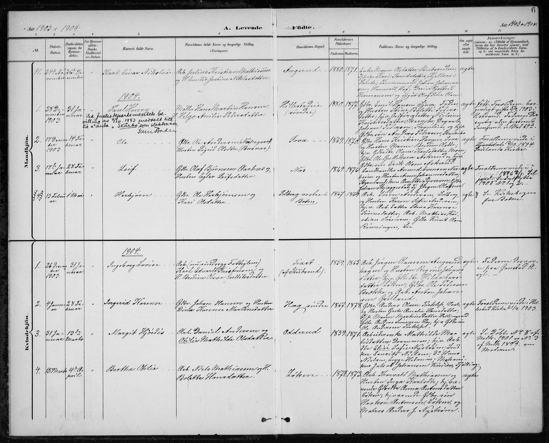 Botne kirkebøker, SAKO/A-340/F/Fb/L0002: Parish register (official) no. II 2, 1902-1915, p. 6