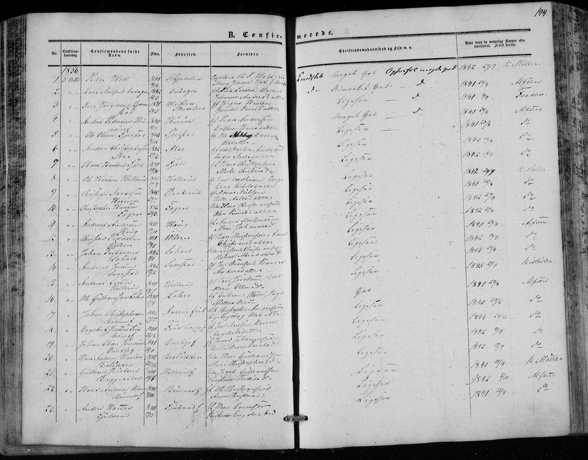 Hole kirkebøker, SAKO/A-228/F/Fa/L0006: Parish register (official) no. I 6, 1852-1872, p. 194