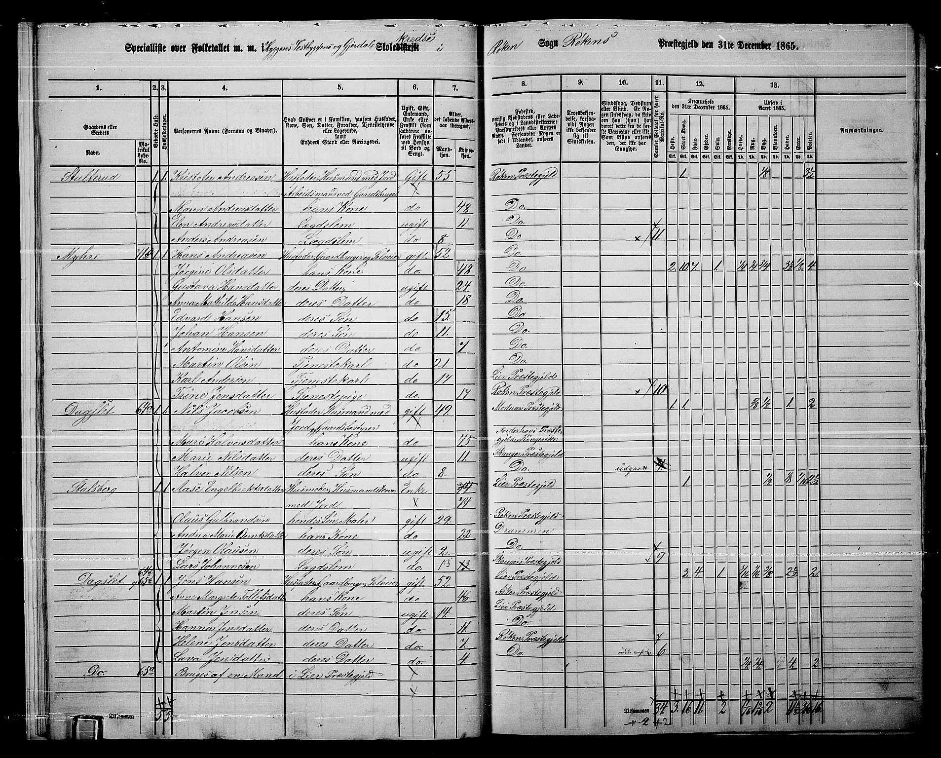 RA, 1865 census for Røyken, 1865, p. 15