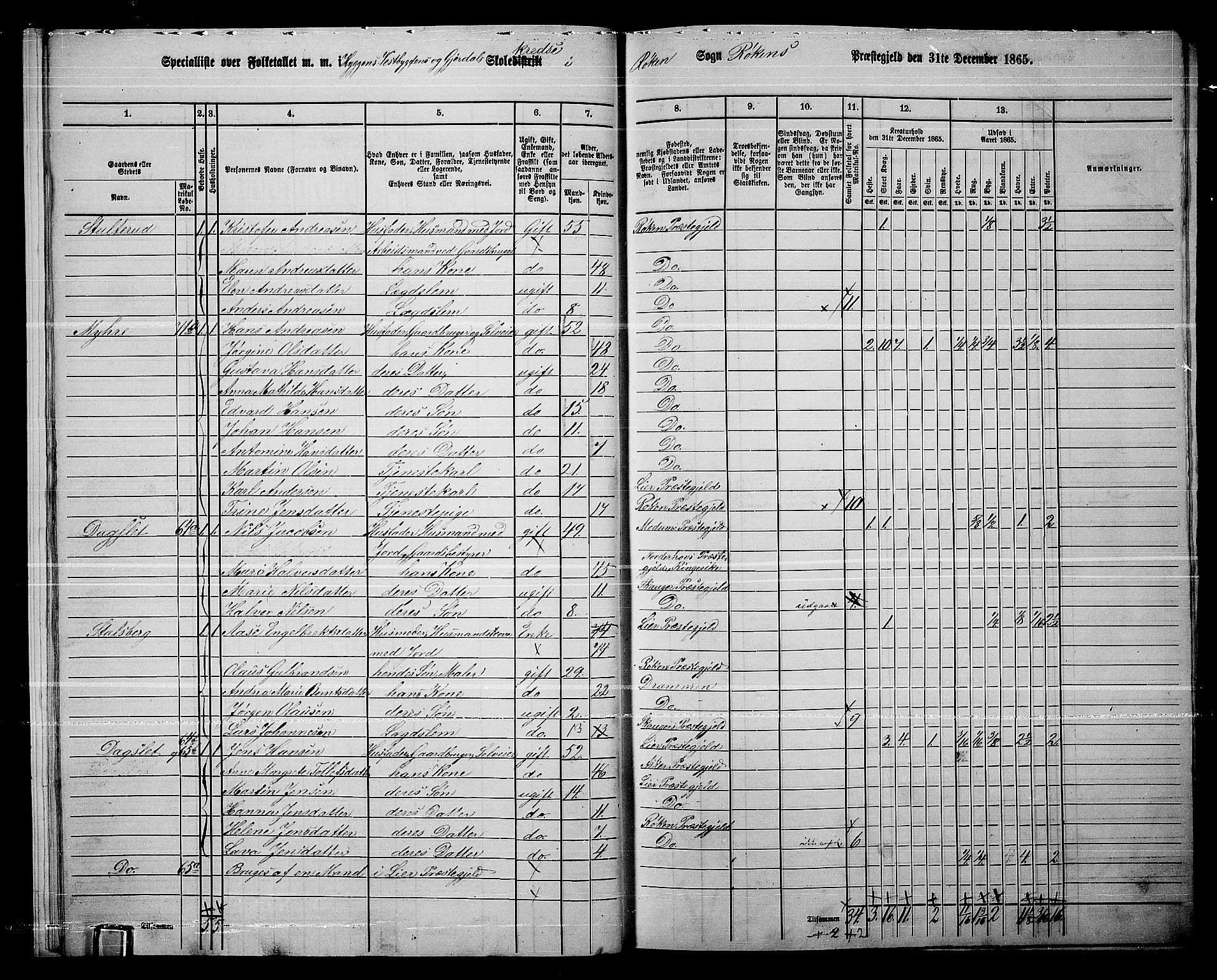 RA, 1865 census for Røyken, 1865, p. 15