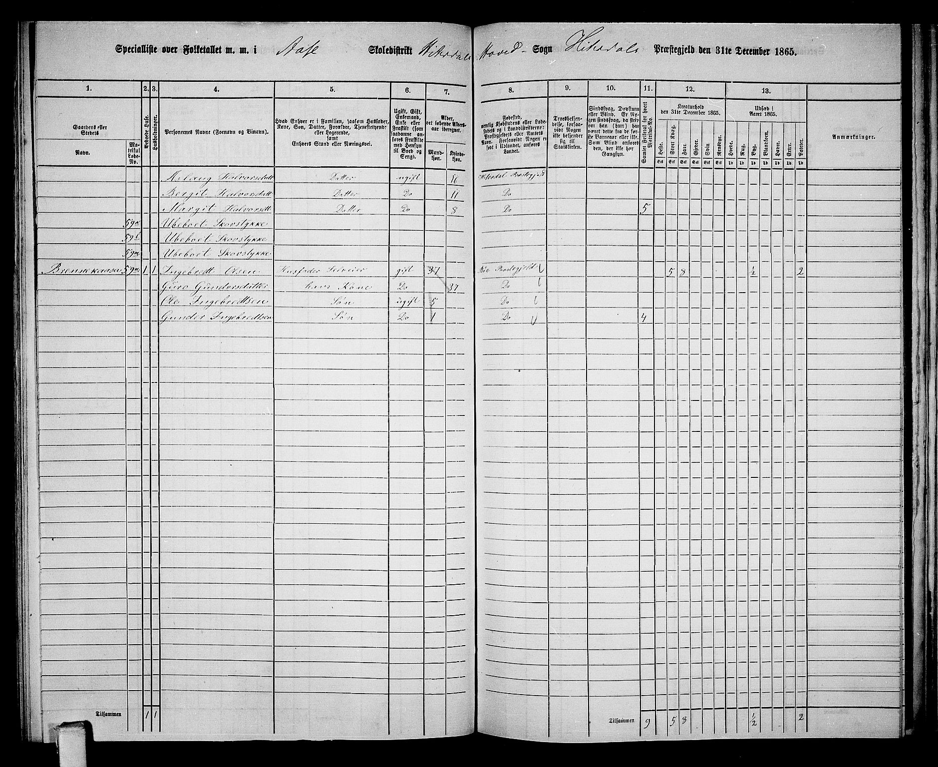 RA, 1865 census for Heddal, 1865, p. 124