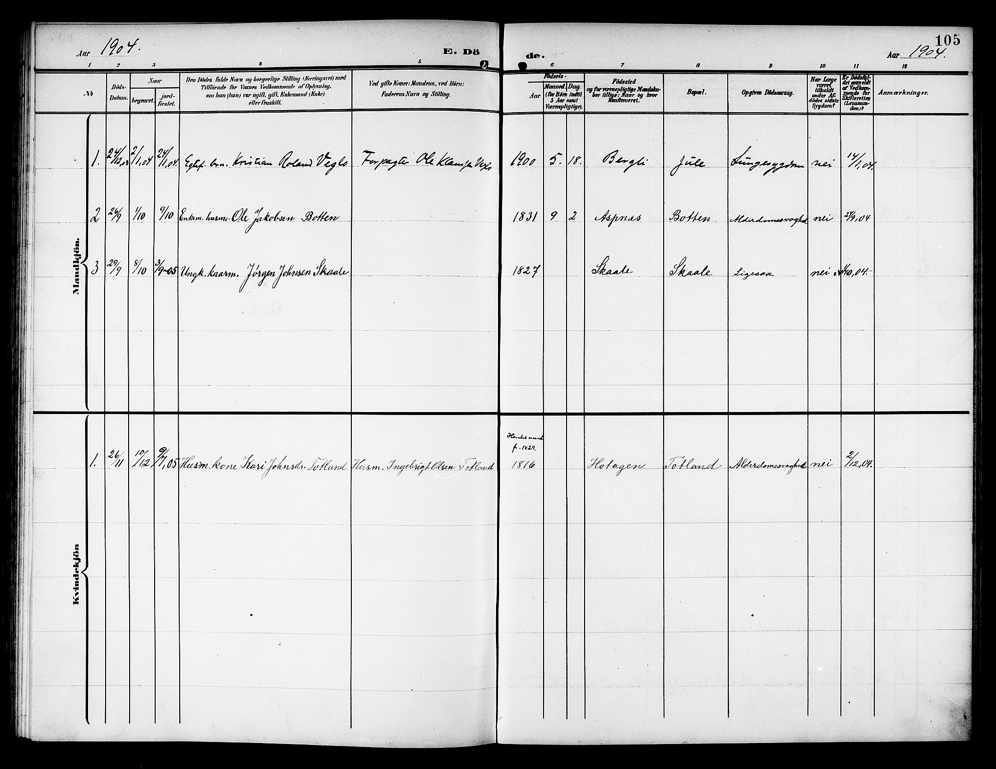 Ministerialprotokoller, klokkerbøker og fødselsregistre - Nord-Trøndelag, SAT/A-1458/757/L0506: Parish register (copy) no. 757C01, 1904-1922, p. 105