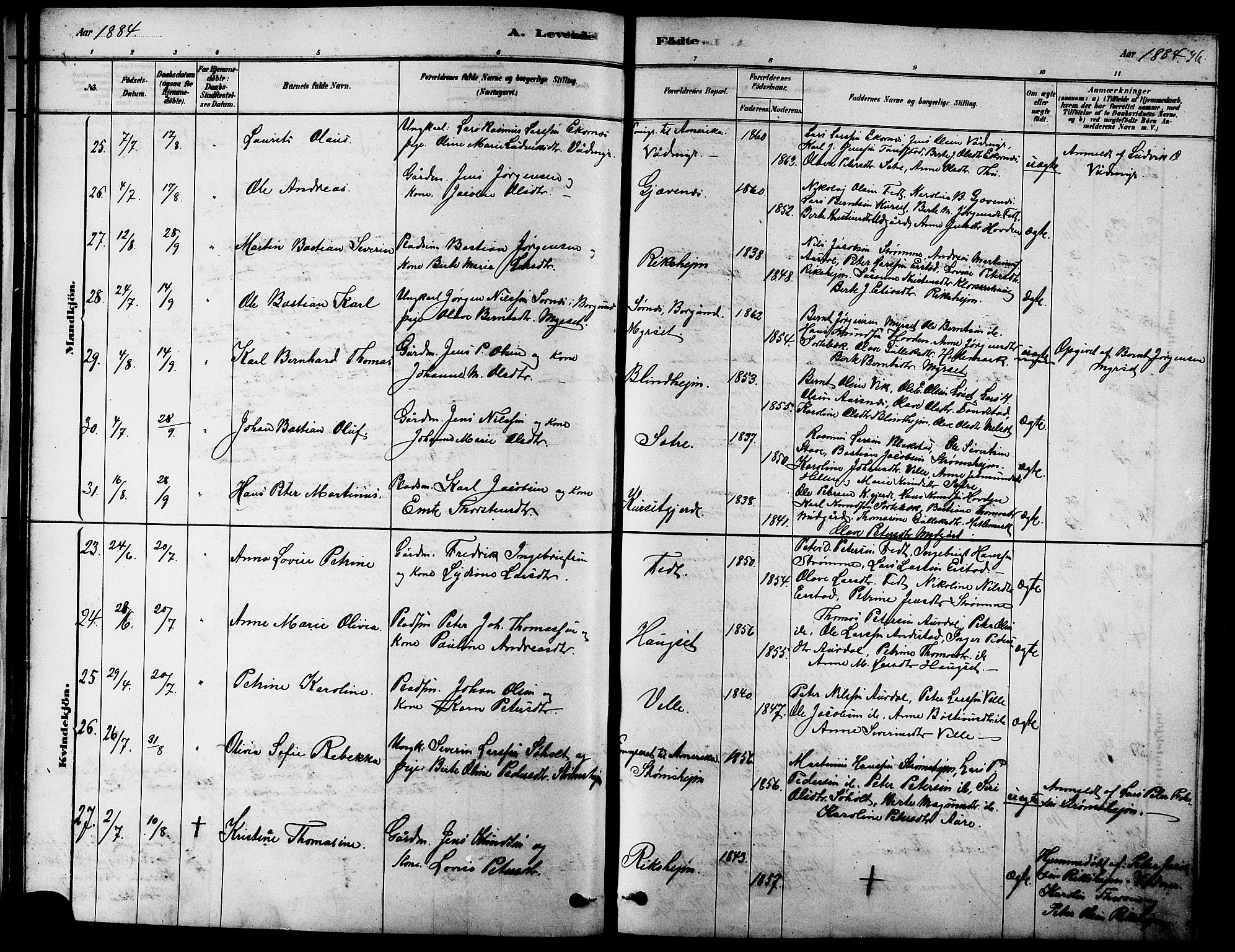 Ministerialprotokoller, klokkerbøker og fødselsregistre - Møre og Romsdal, AV/SAT-A-1454/523/L0339: Parish register (copy) no. 523C02, 1878-1891, p. 36