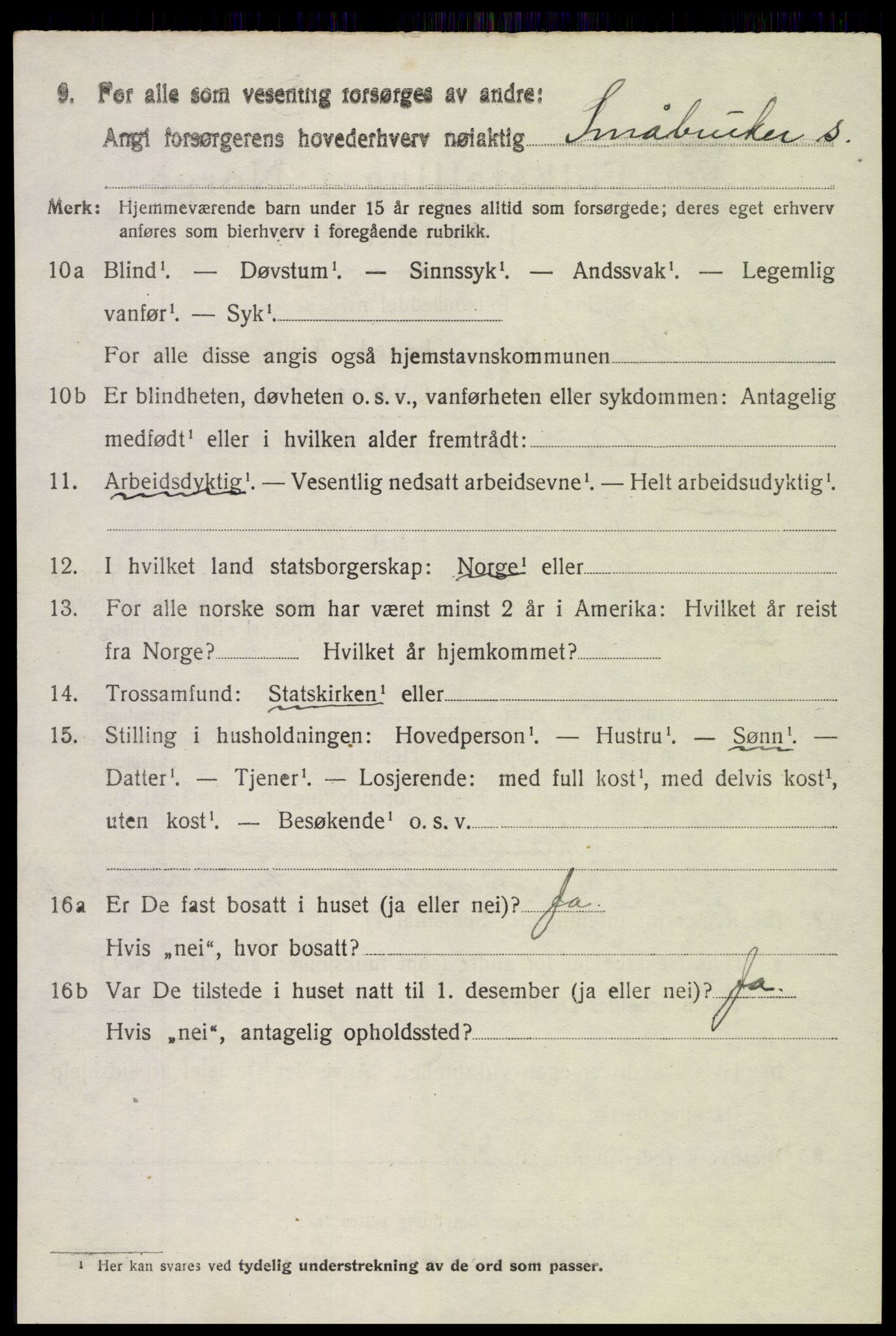 SAH, 1920 census for Vestre Slidre, 1920, p. 2017