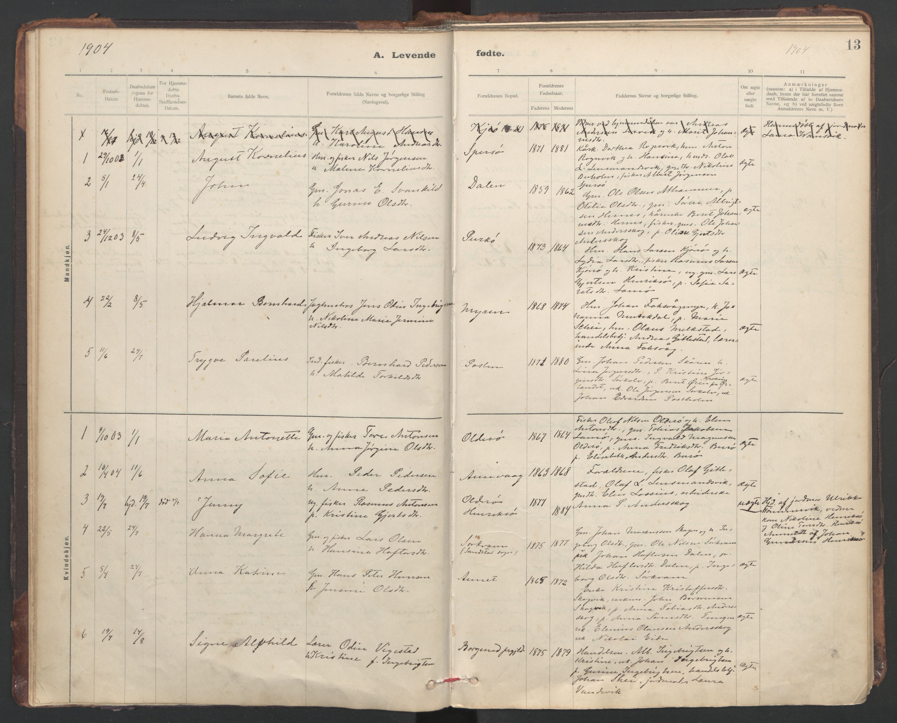 Ministerialprotokoller, klokkerbøker og fødselsregistre - Sør-Trøndelag, AV/SAT-A-1456/635/L0552: Parish register (official) no. 635A02, 1899-1919, p. 13
