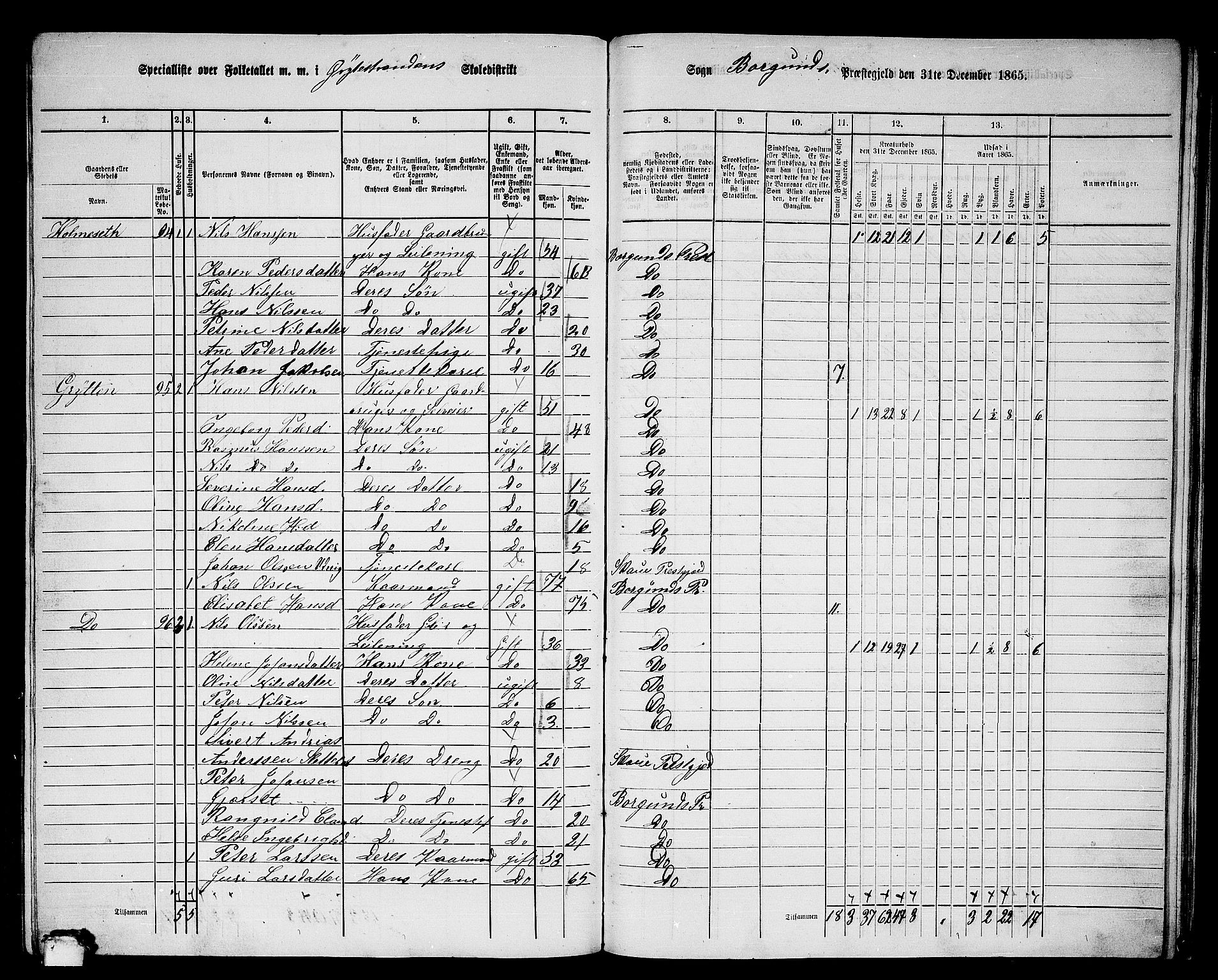 RA, 1865 census for Borgund, 1865, p. 223