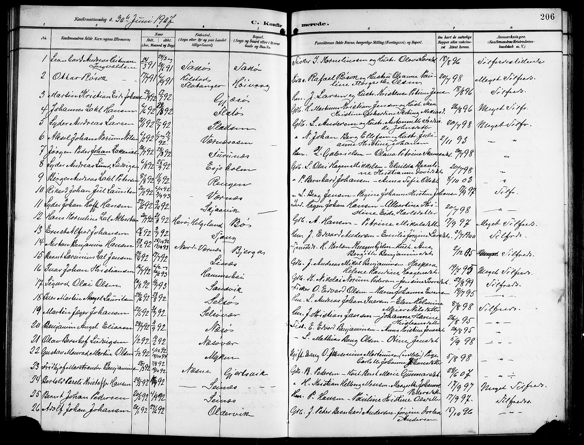 Ministerialprotokoller, klokkerbøker og fødselsregistre - Nordland, SAT/A-1459/841/L0621: Parish register (copy) no. 841C05, 1897-1923, p. 206