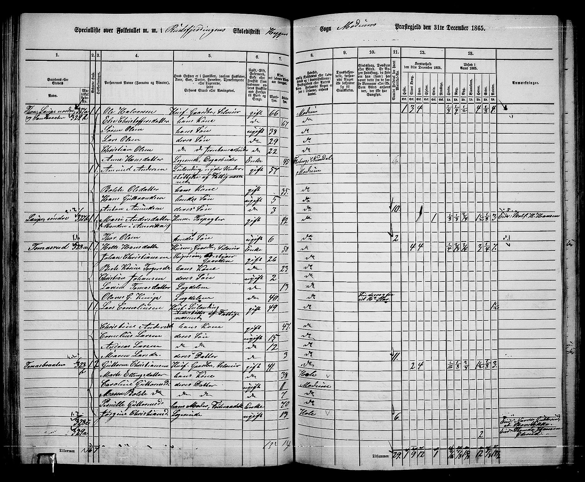 RA, 1865 census for Modum, 1865, p. 119