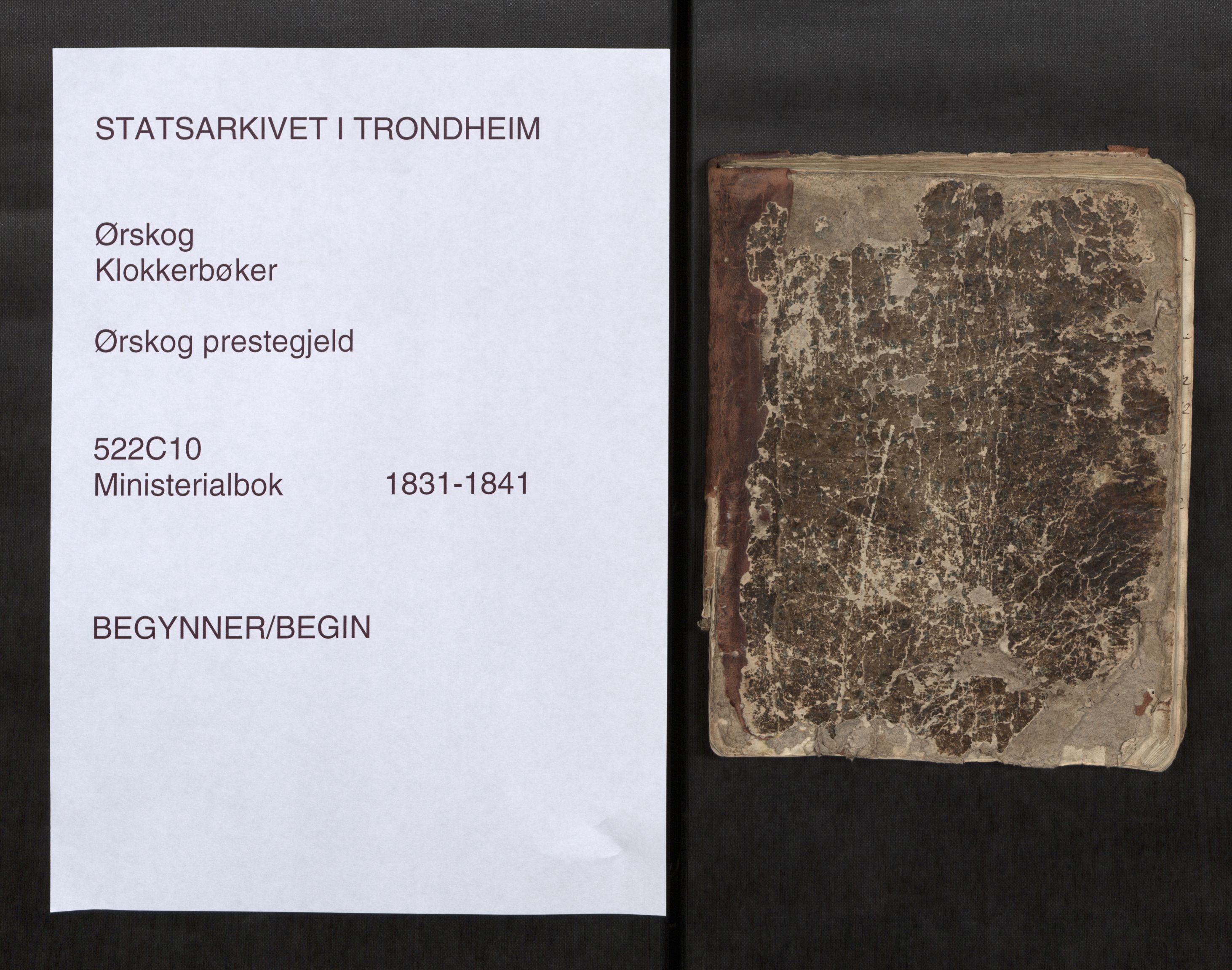 Ministerialprotokoller, klokkerbøker og fødselsregistre - Møre og Romsdal, SAT/A-1454/522/L0331: Parish register (copy) no. 522C10, 1831-1841