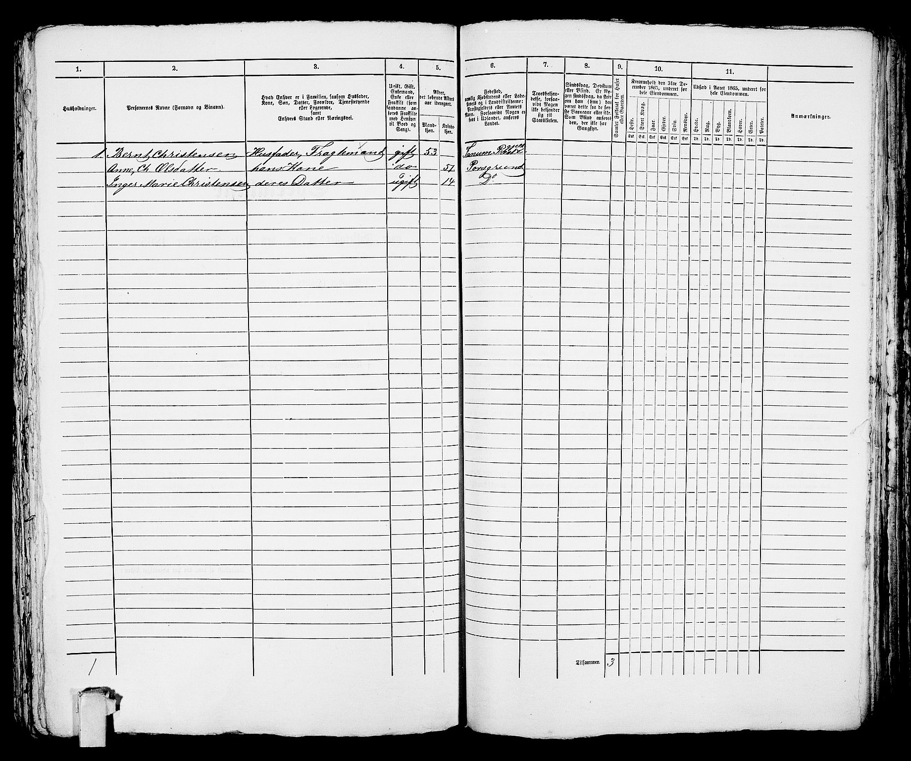 RA, 1865 census for Porsgrunn, 1865, p. 333