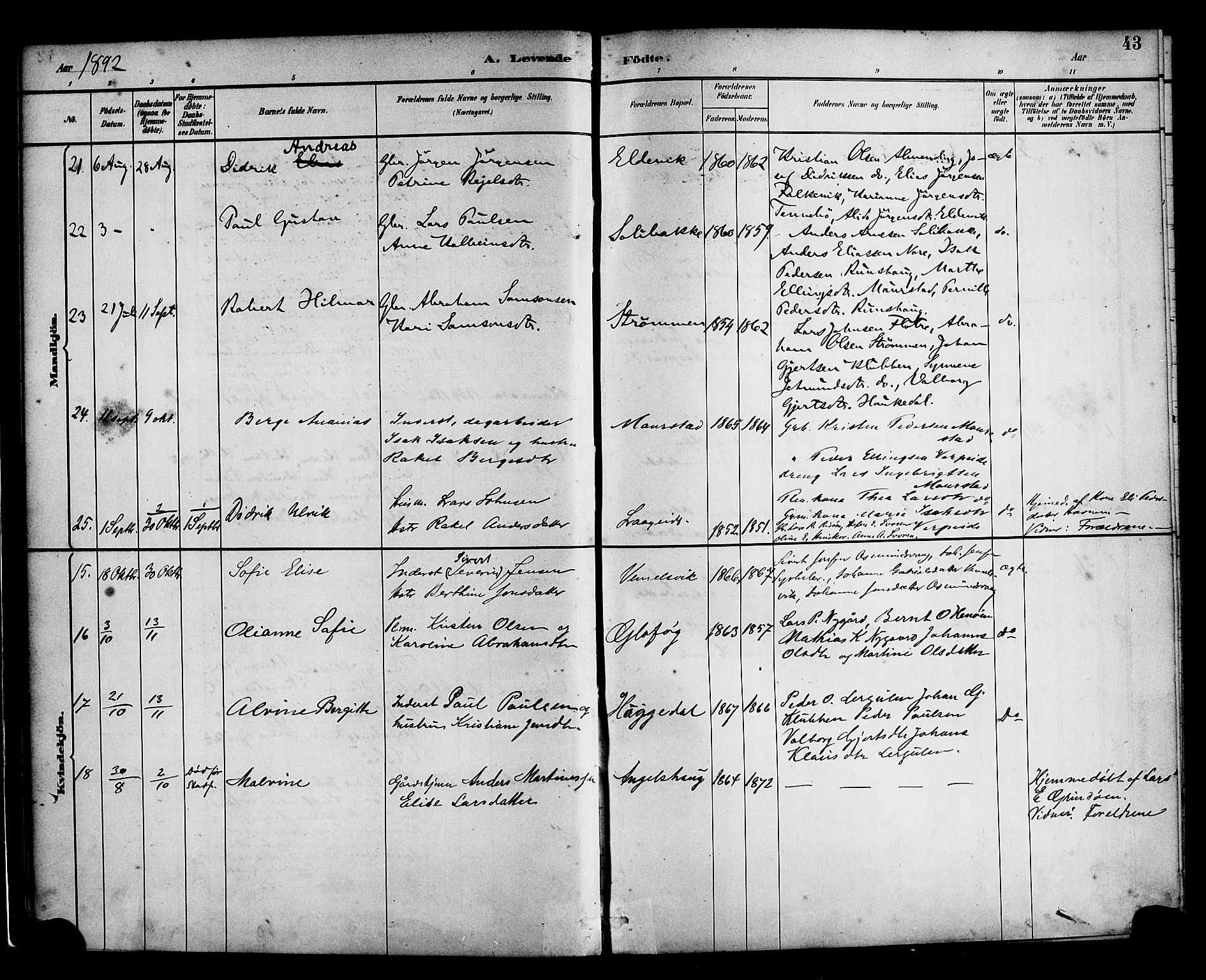 Davik sokneprestembete, AV/SAB-A-79701/H/Haa/Haad/L0001: Parish register (official) no. D 1, 1882-1900, p. 43