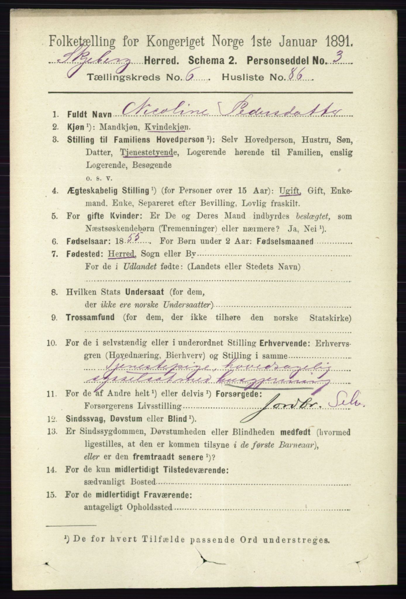 RA, 1891 census for 0115 Skjeberg, 1891, p. 3351