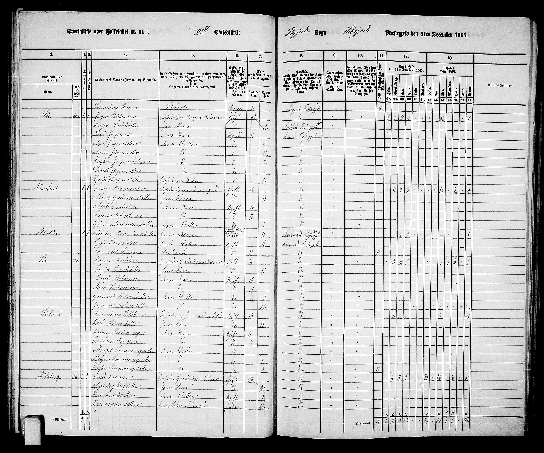 RA, 1865 census for Seljord, 1865, p. 33
