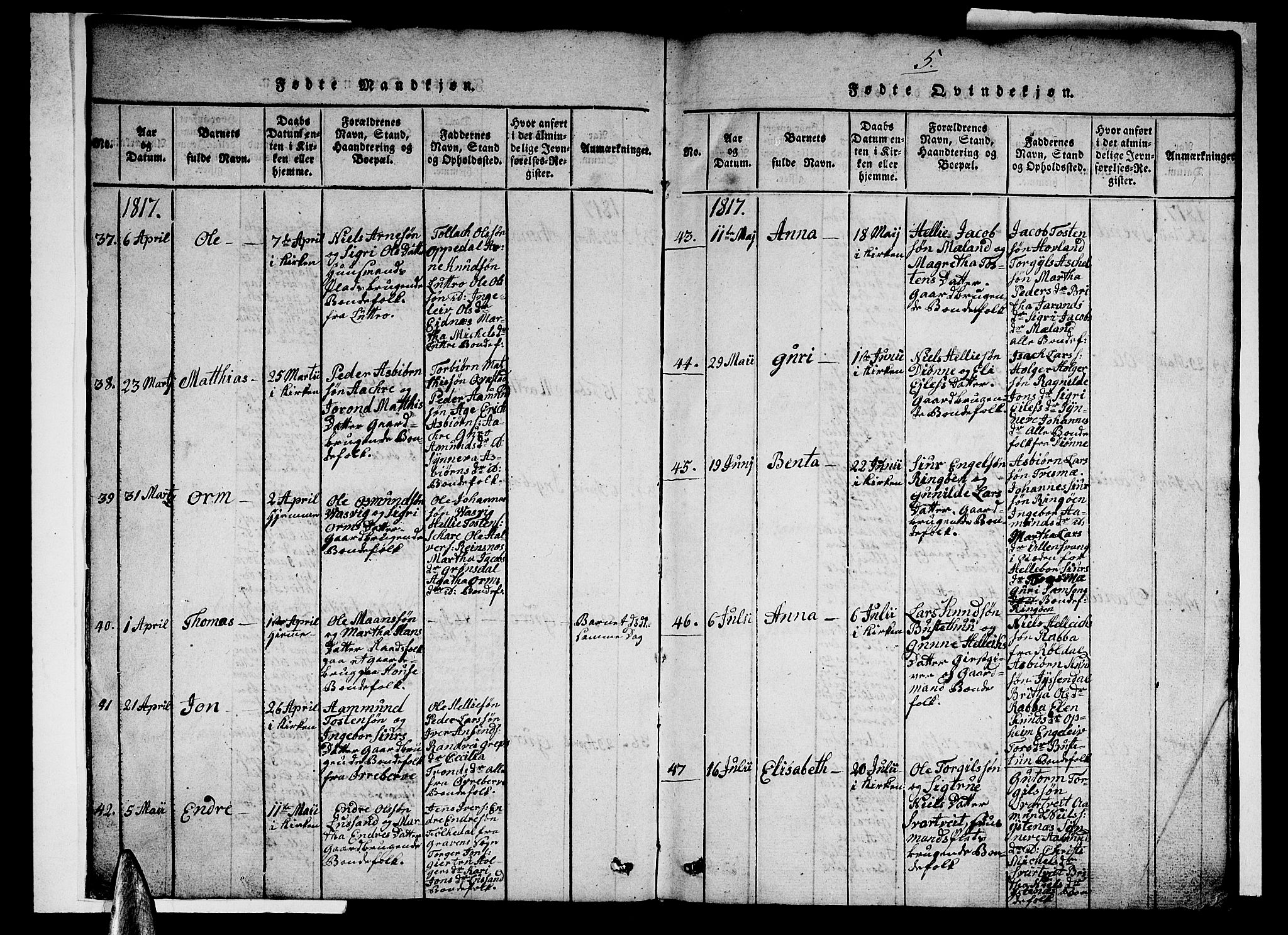 Ullensvang sokneprestembete, AV/SAB-A-78701/H/Hab: Parish register (copy) no. A 3, 1817-1825, p. 5