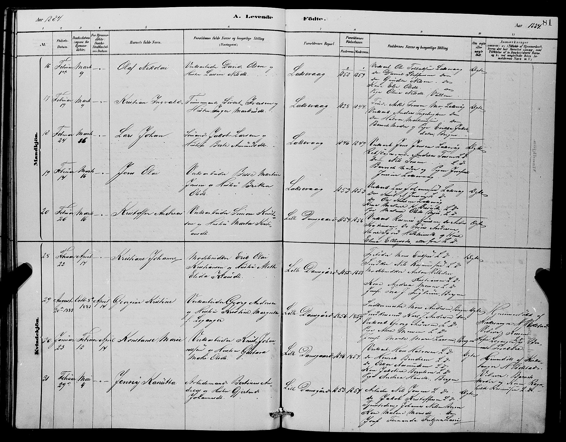 Laksevåg Sokneprestembete, AV/SAB-A-76501/H/Ha/Hab/Haba/L0002: Parish register (copy) no. A 2, 1877-1887, p. 81